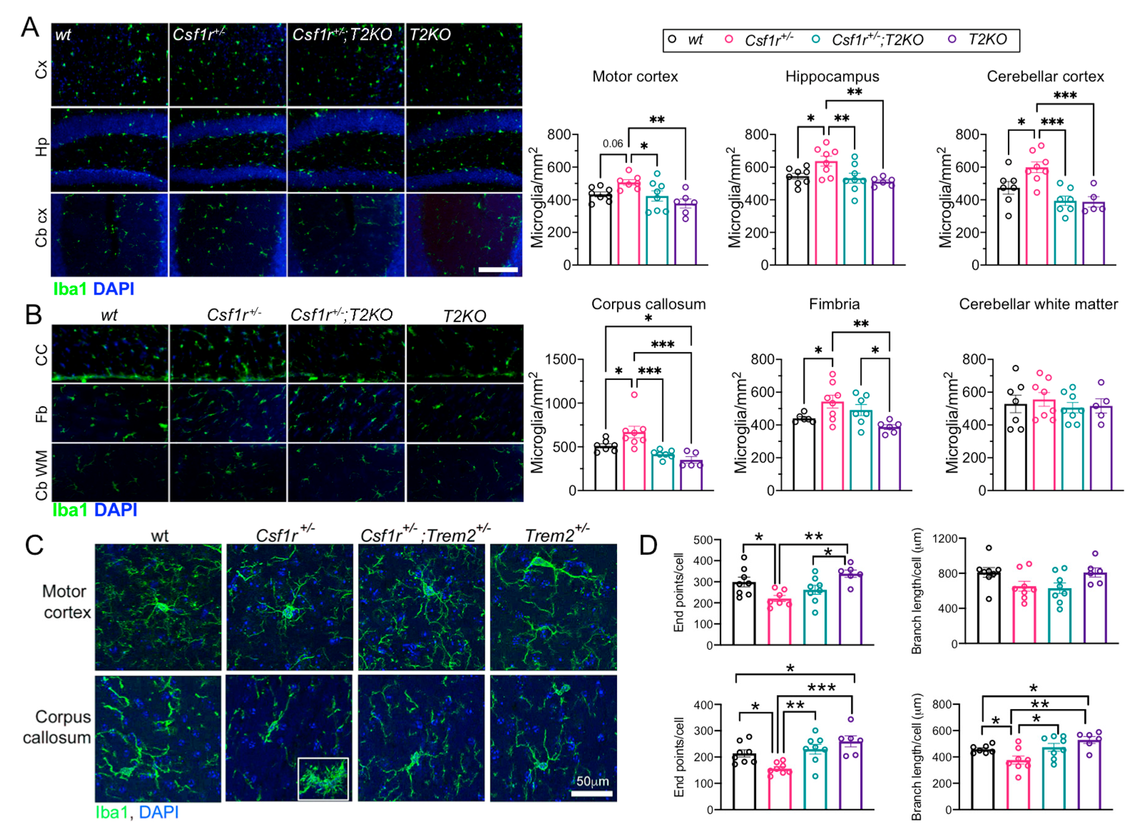 Biomedicines 11 02094 g005 Biomedicines 11 02094 g005