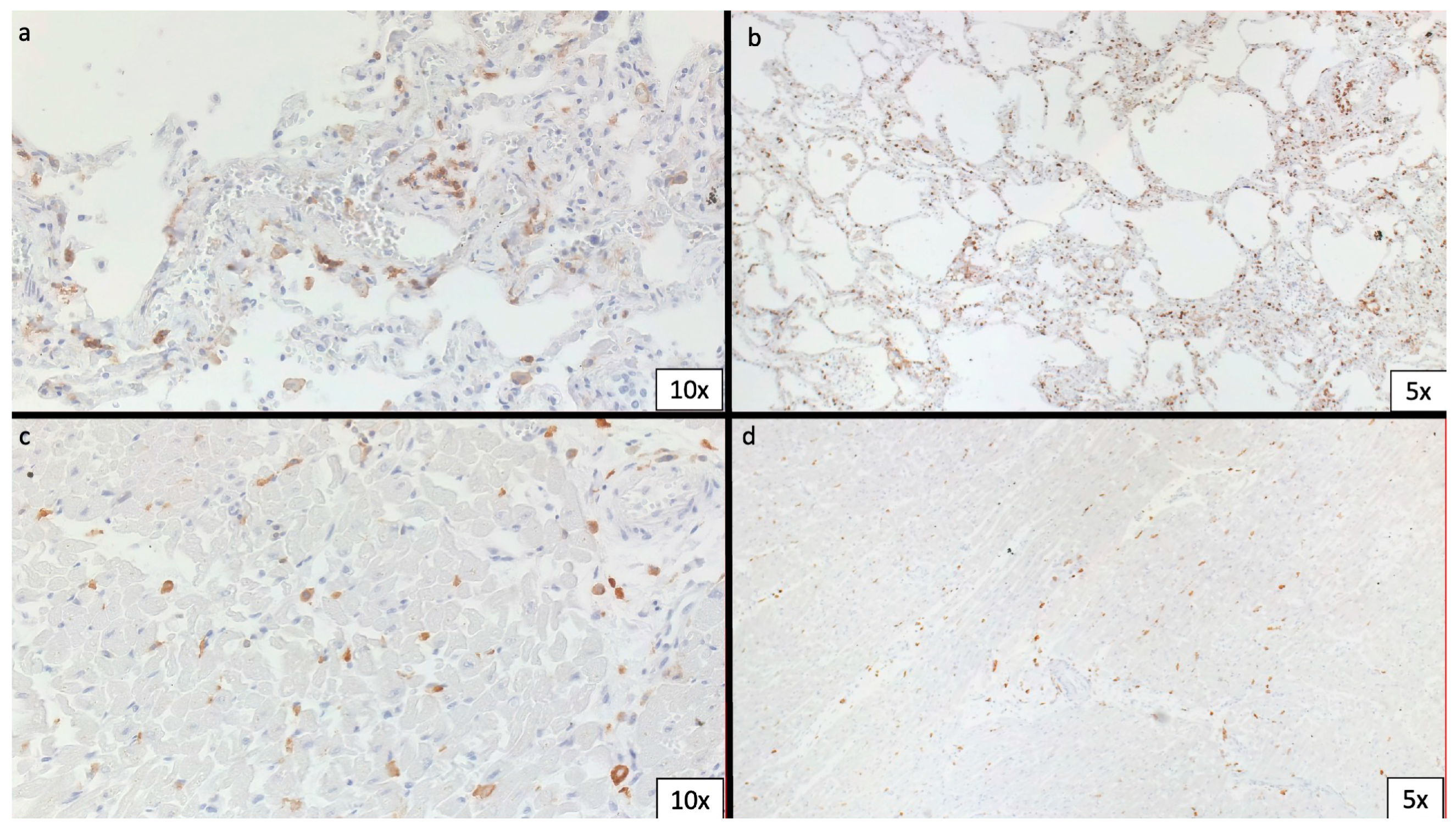 Biomedicines 11 02101 g003