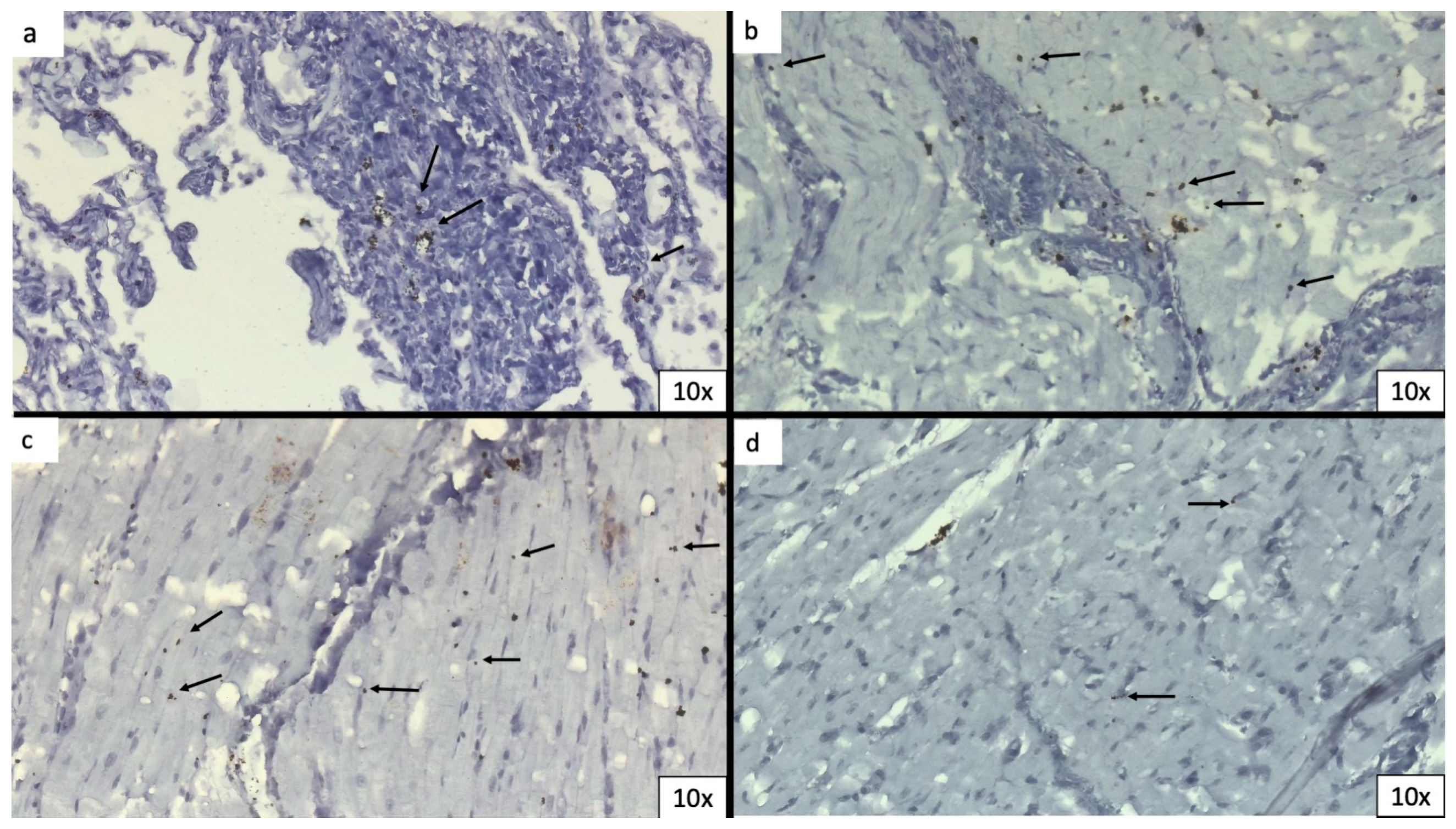Biomedicines 11 02101 g004