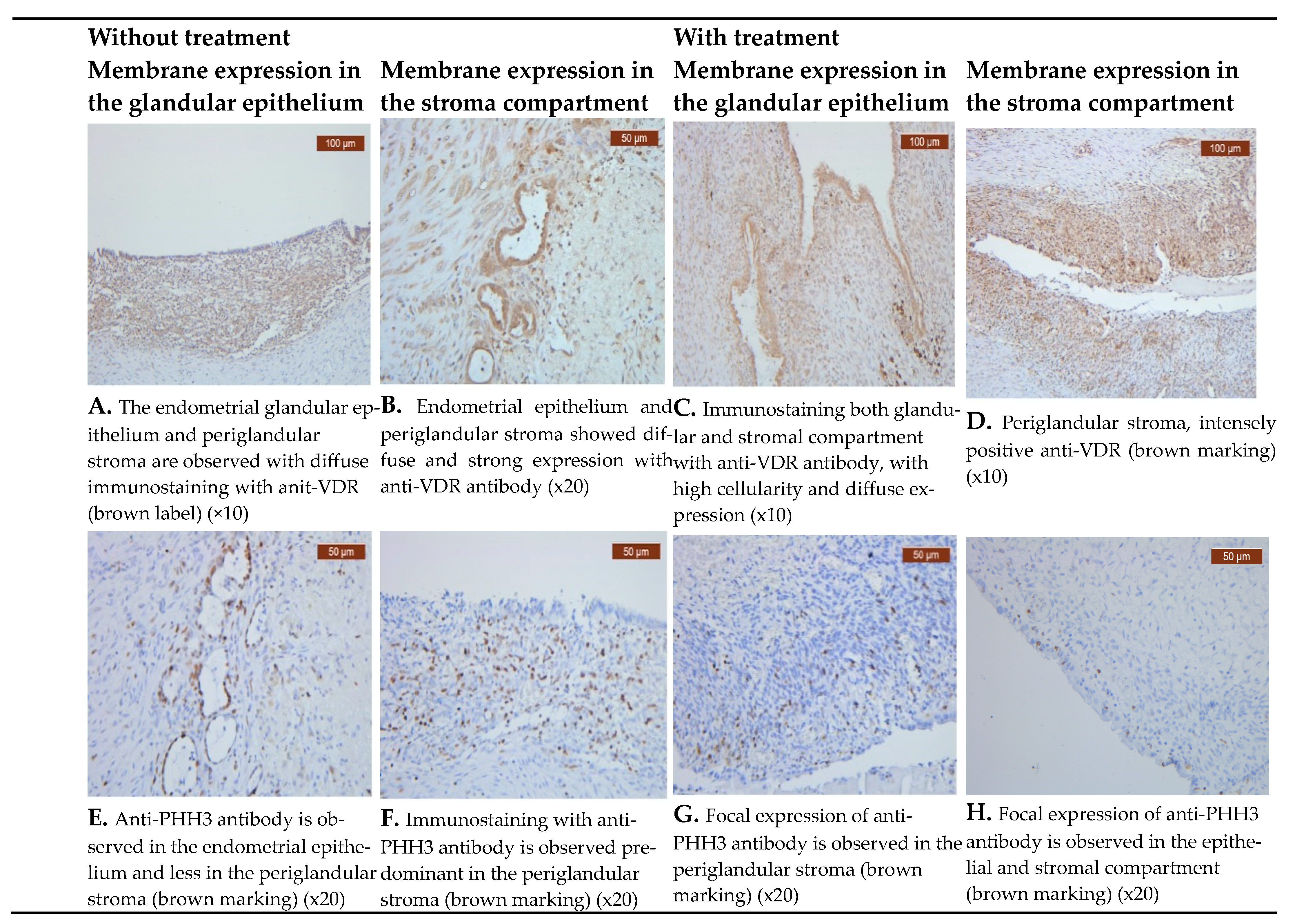 Biomedicines 11 02102 g001 Biomedicines 11 02102 g001