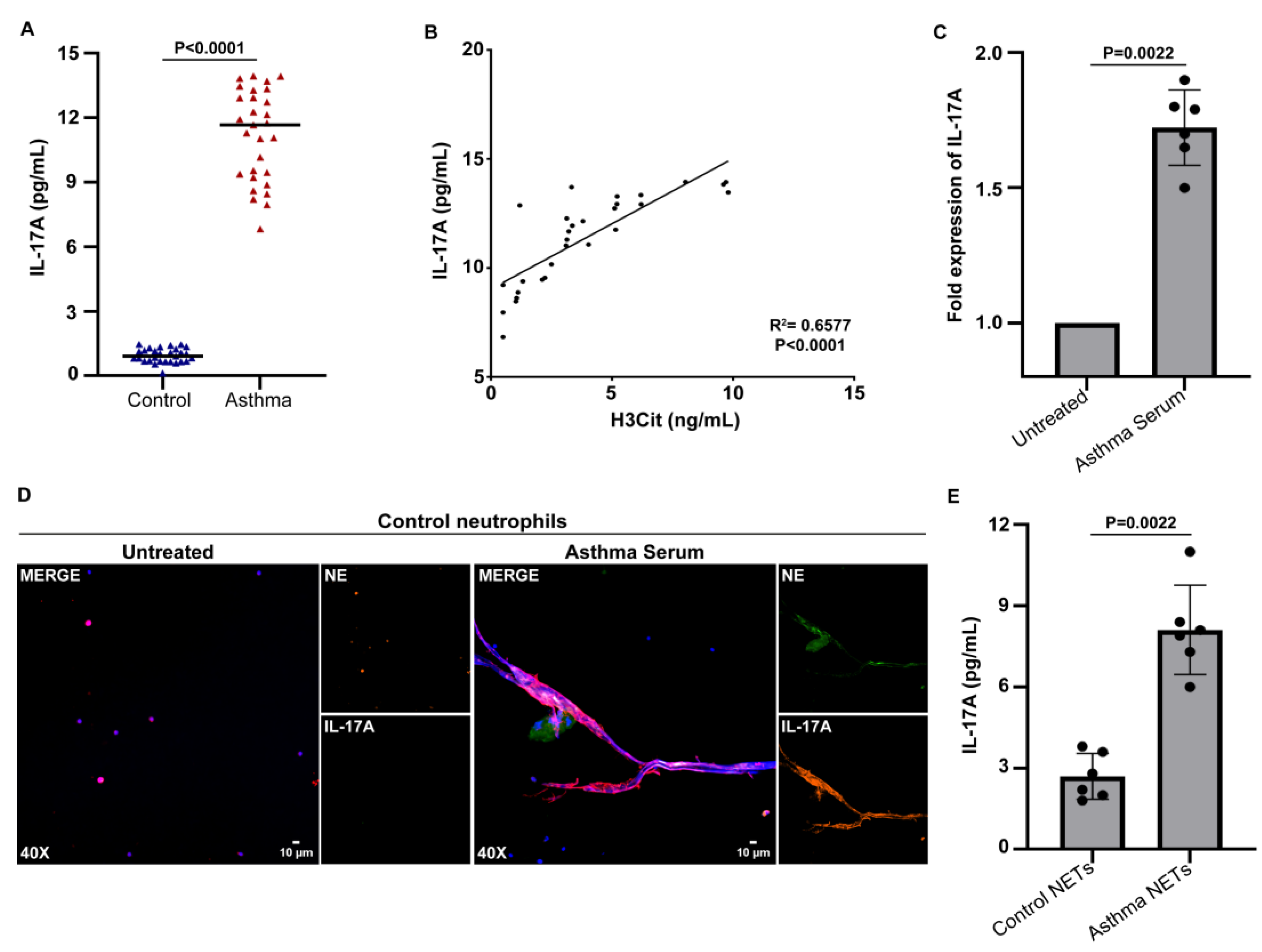 Biomedicines 11 02104 g002