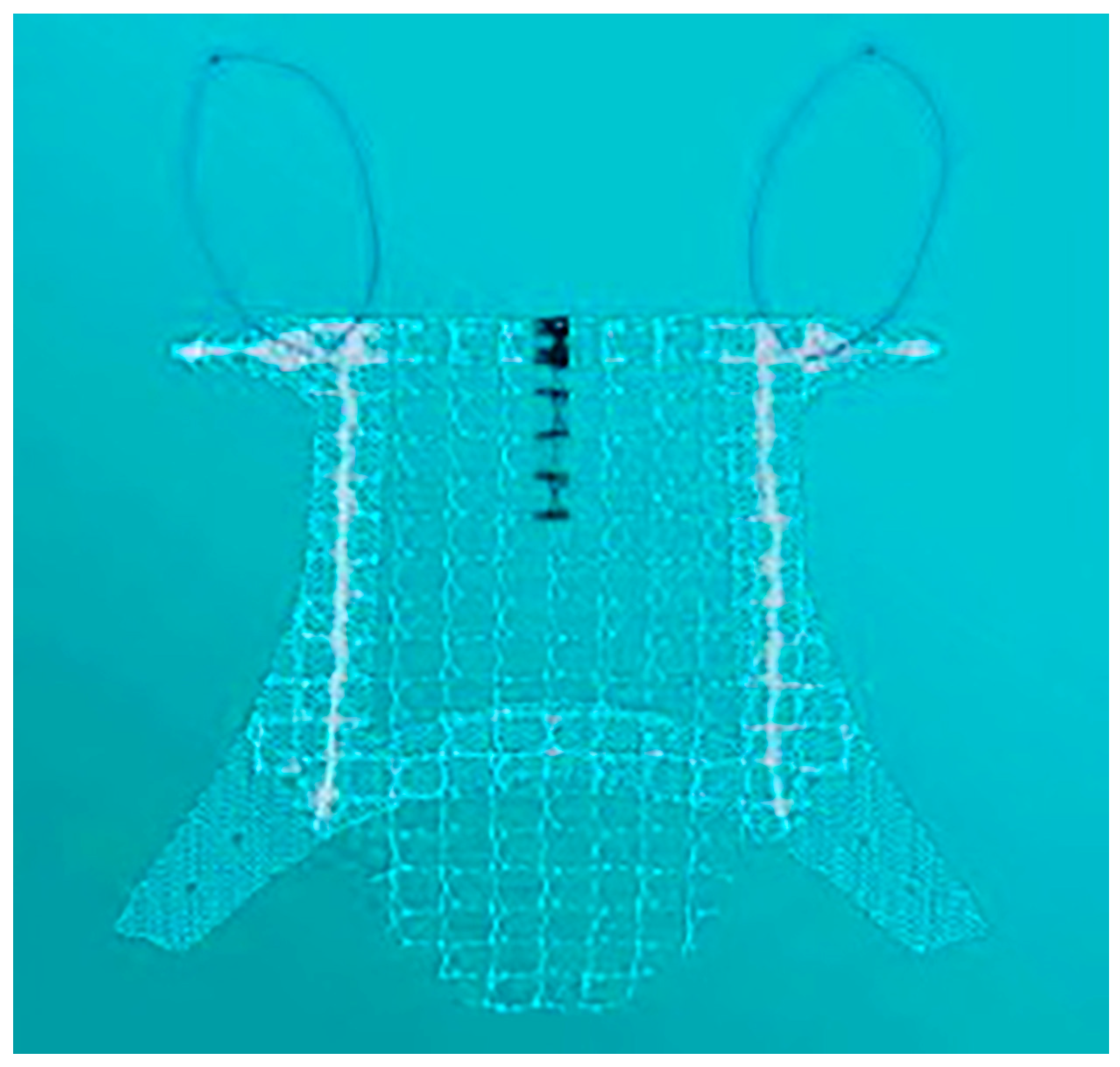 Biomedicines 11 02105 g001 Biomedicines 11 02105 g001