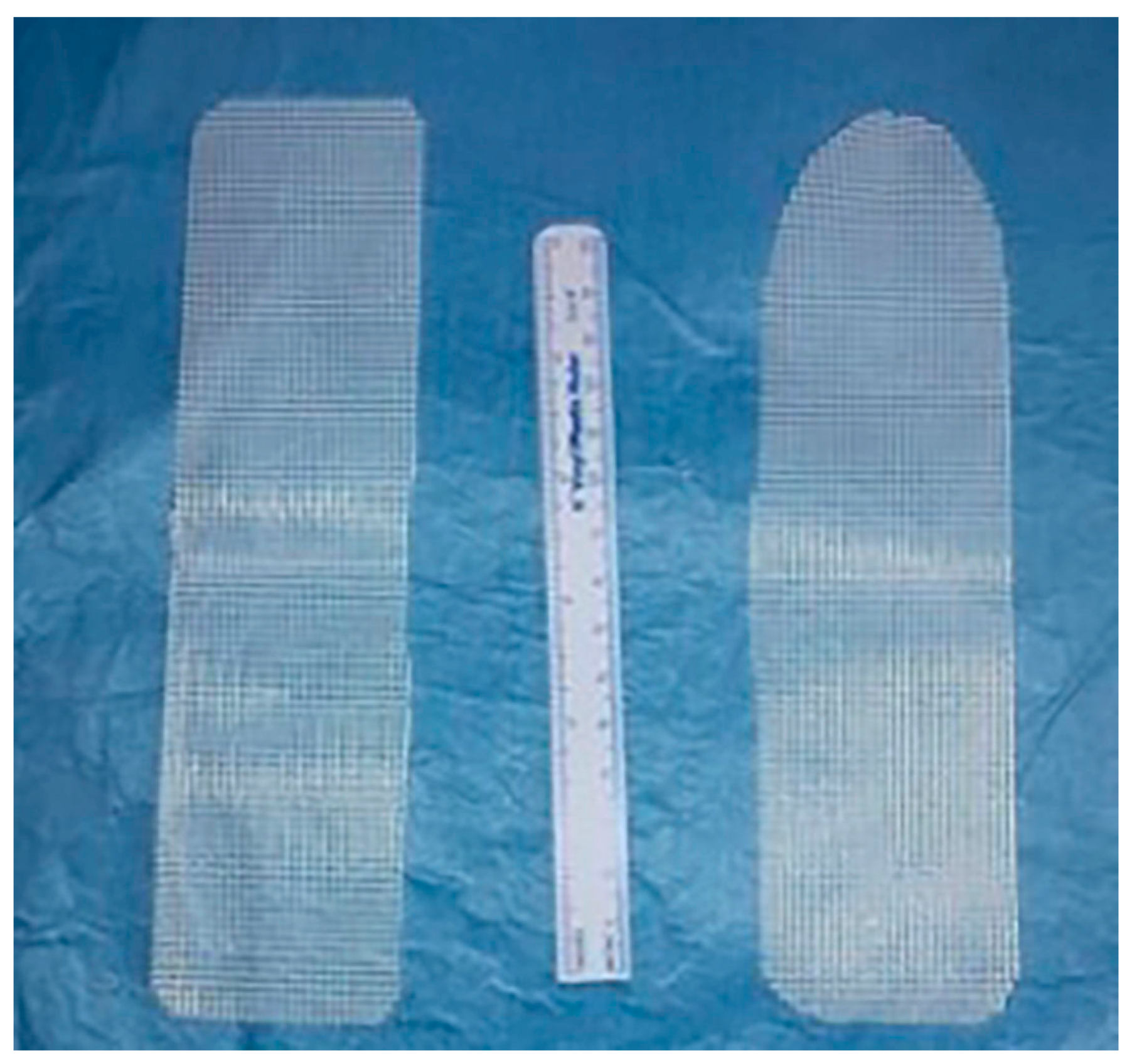 Biomedicines 11 02105 g002 Biomedicines 11 02105 g002