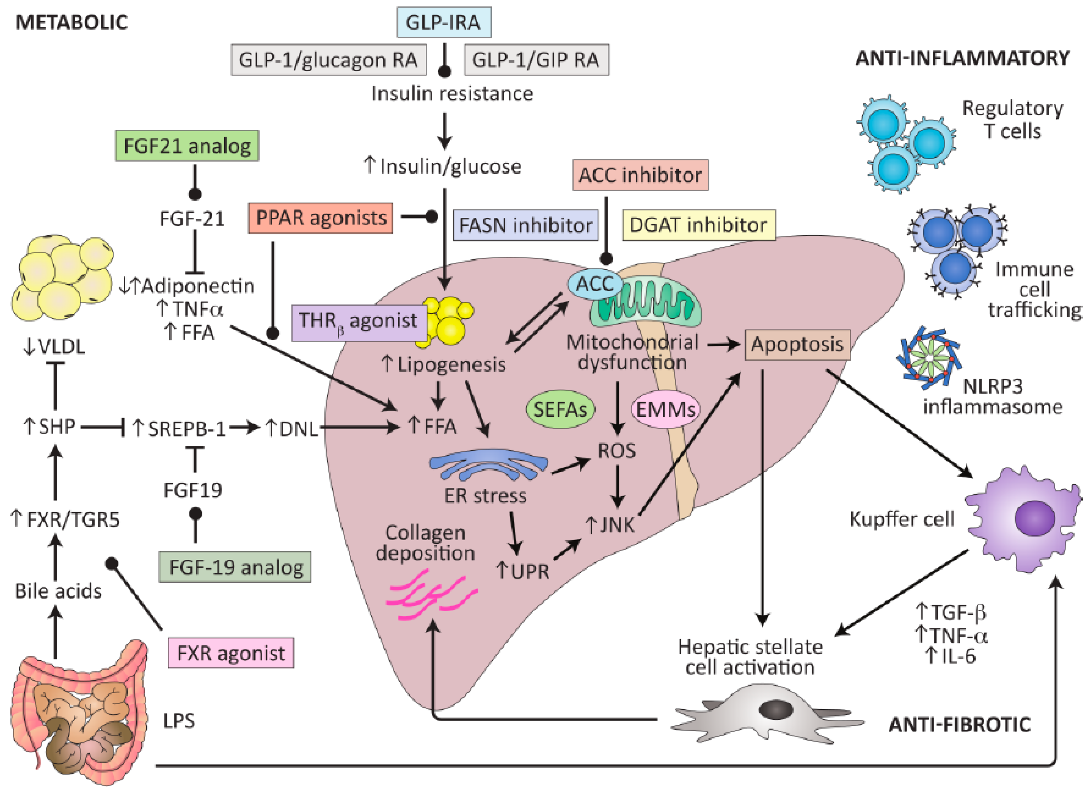 Biomedicines 11 02108 g002 Biomedicines 11 02108 g002