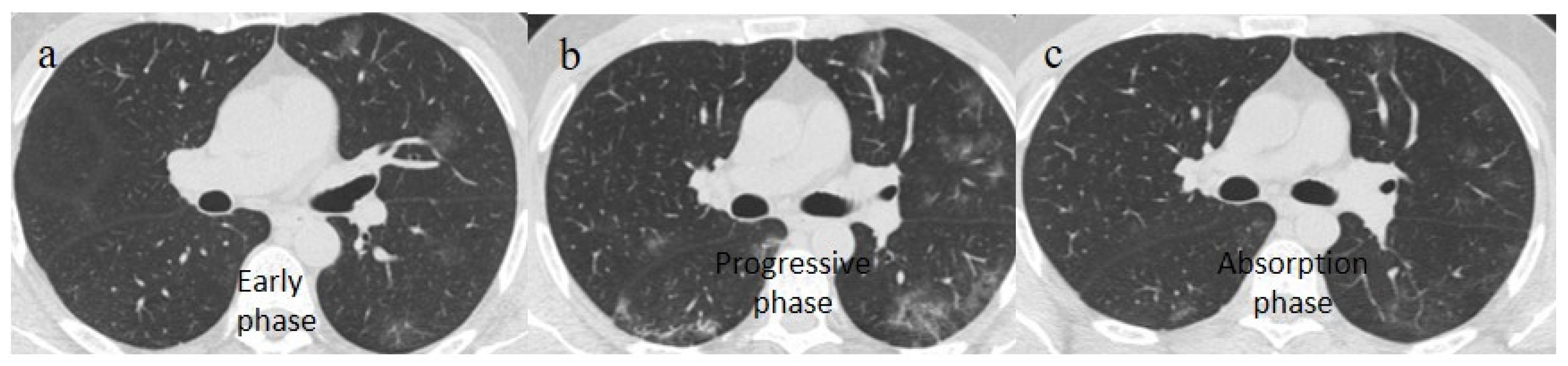 Biomedicines 11 02113 g002