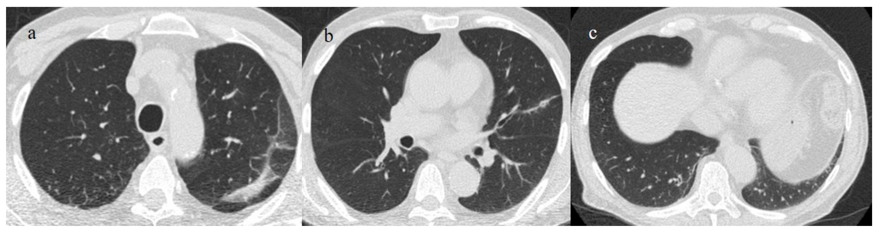 Biomedicines 11 02113 g019
