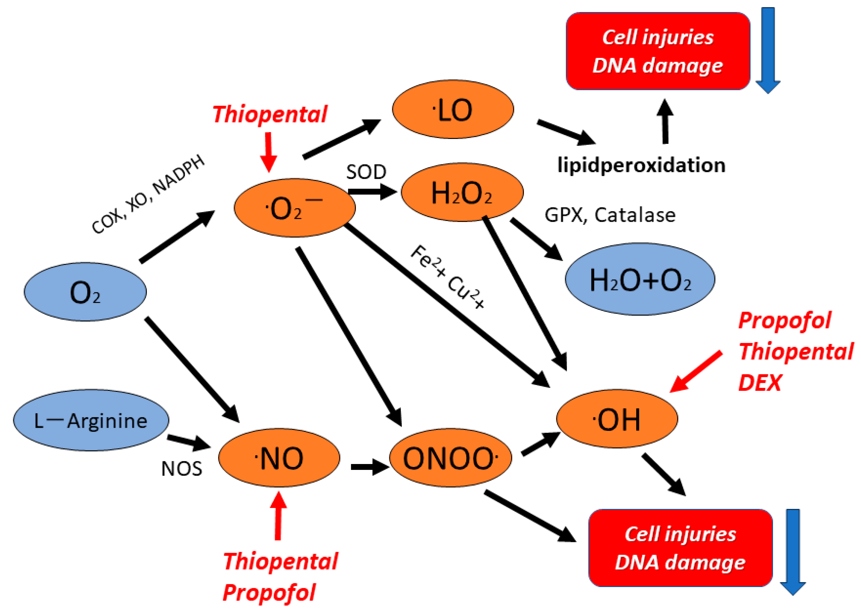 Biomedicines 11 02129 g009