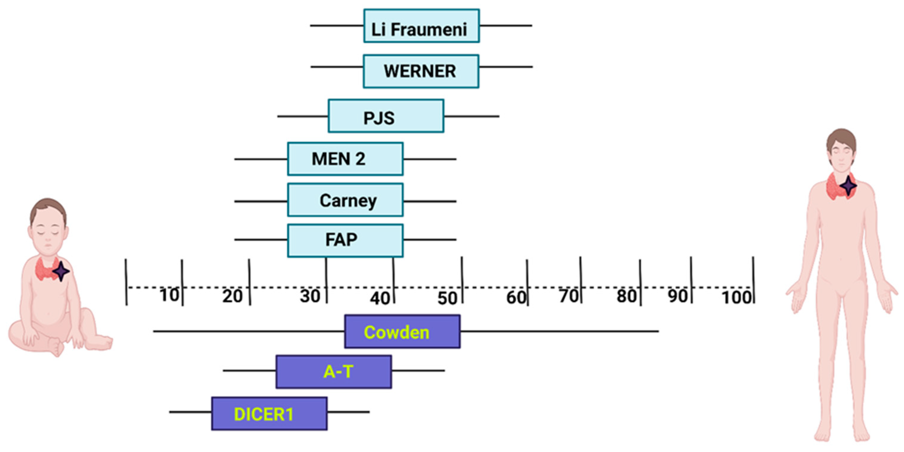 Biomedicines 11 02143 g001 Biomedicines 11 02143 g001