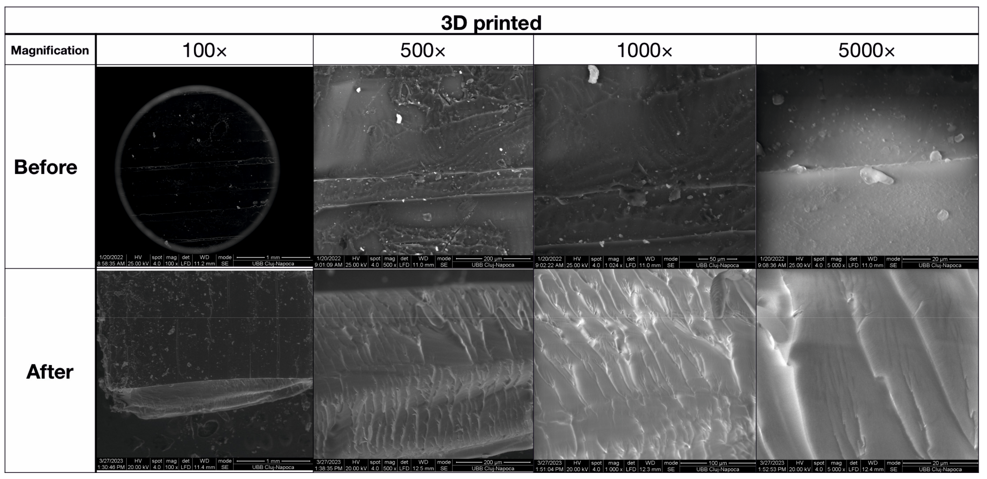 Biomedicines 11 02155 g011 Biomedicines 11 02155 g011