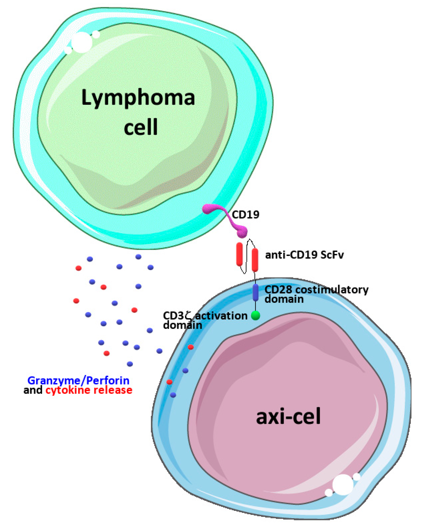 Biomedicines 11 02162 g001