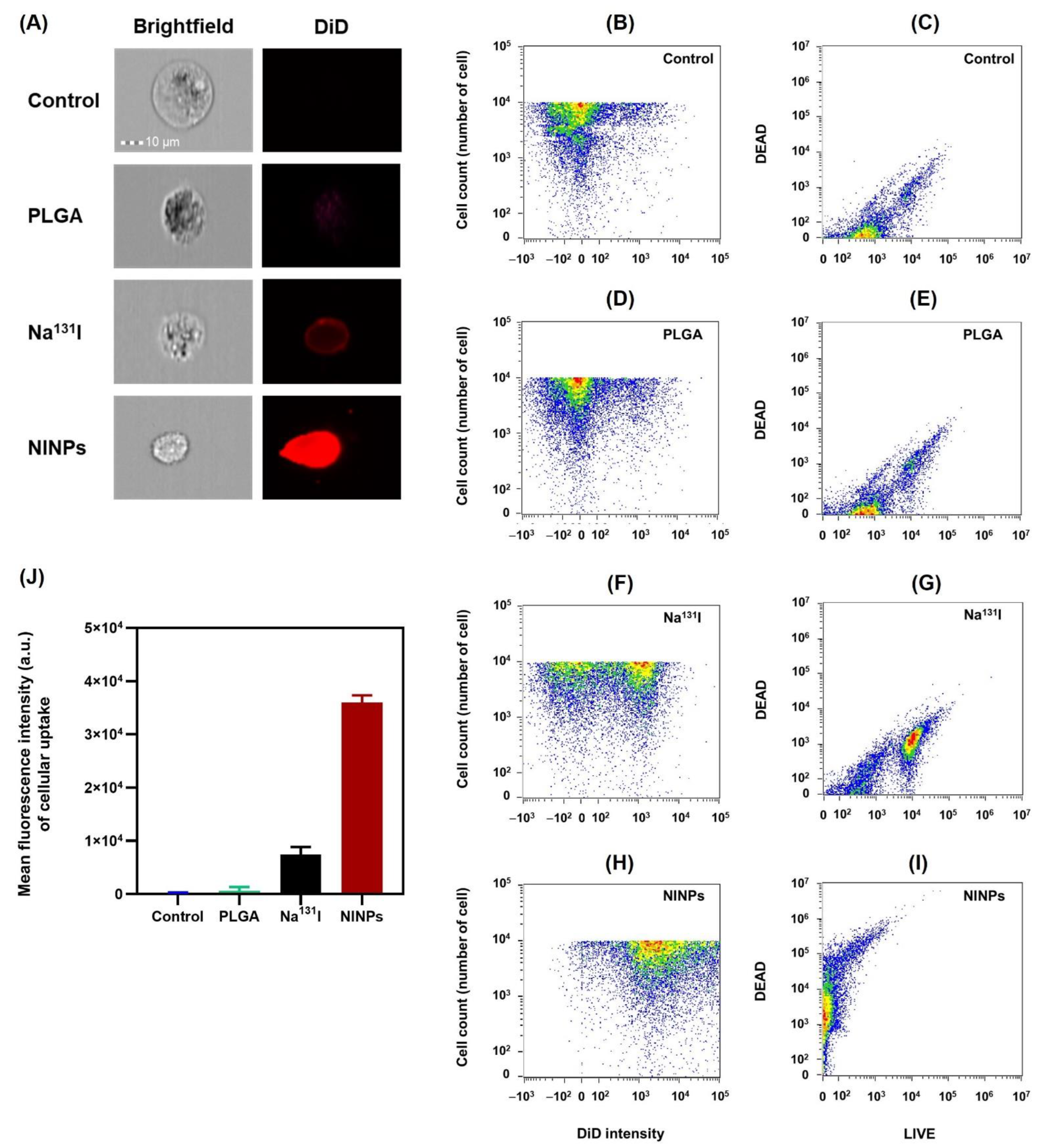 Biomedicines 11 02169 g007
