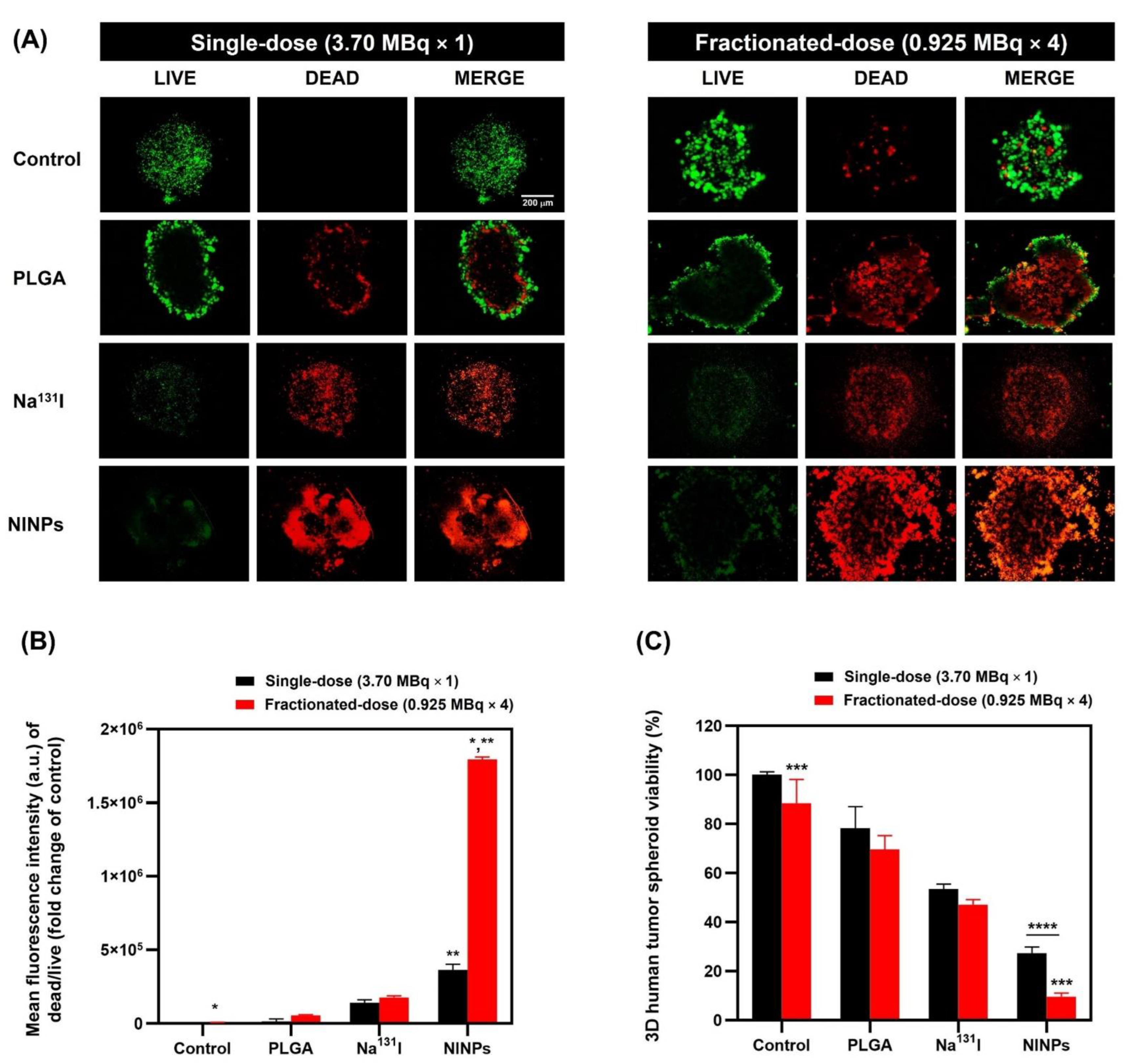 Biomedicines 11 02169 g008
