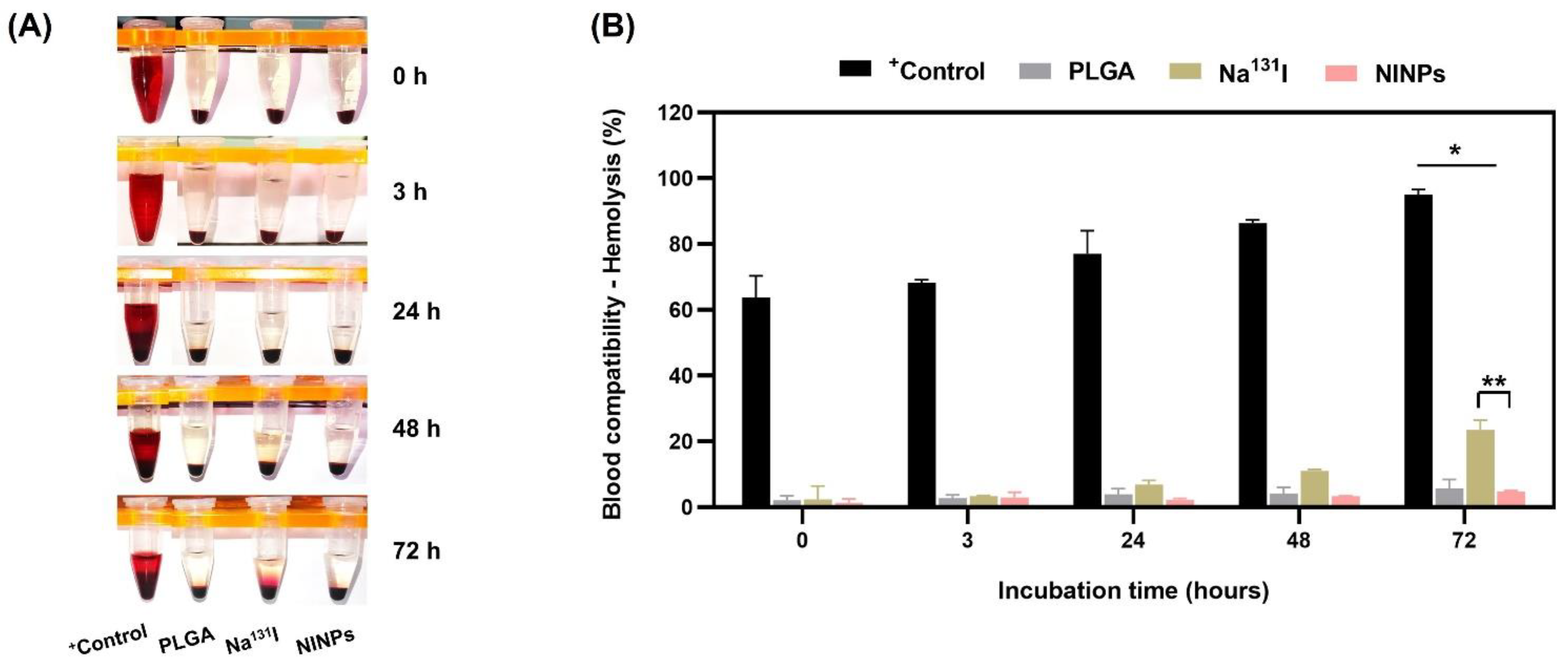 Biomedicines 11 02169 g010