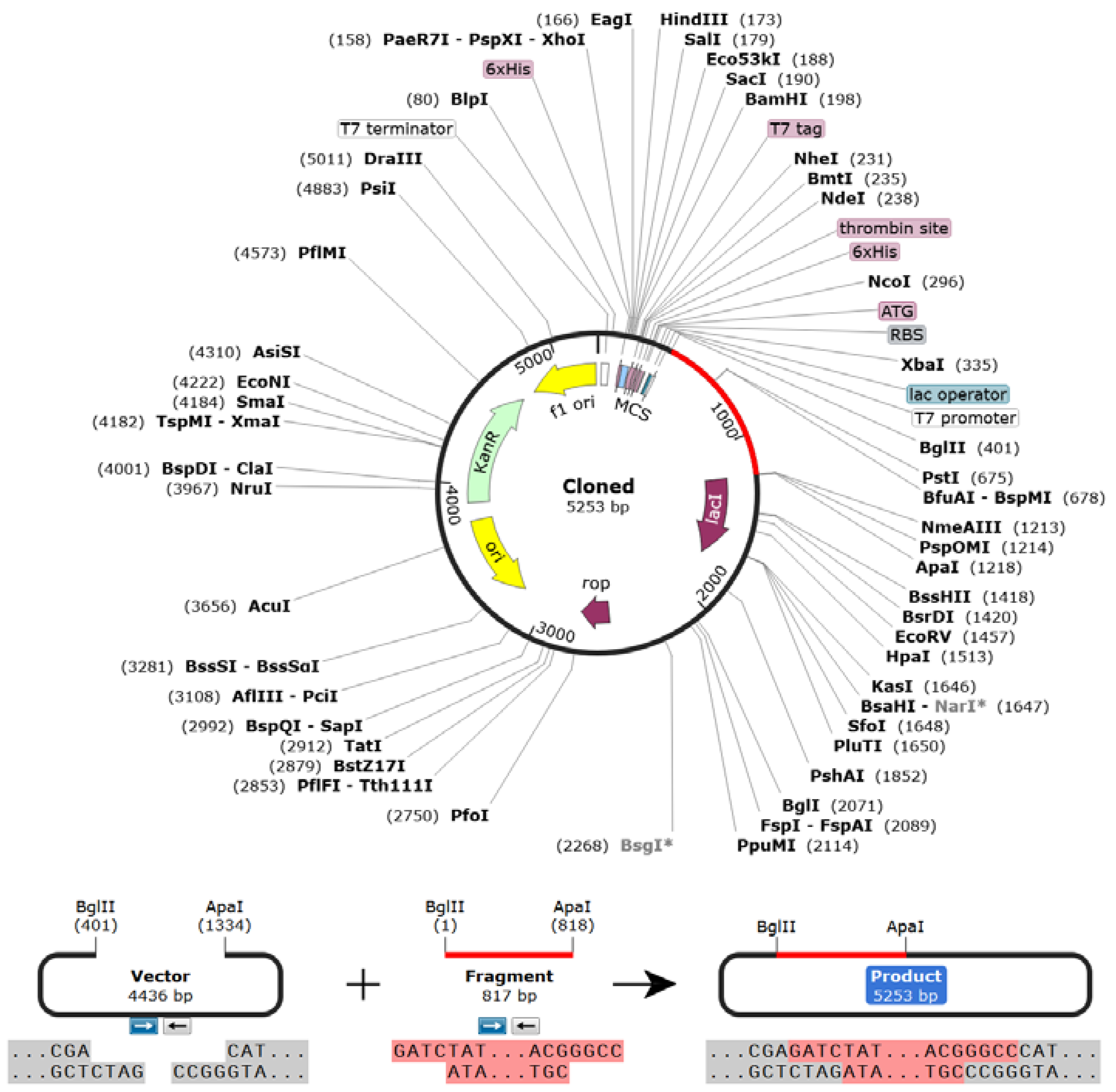 Biomedicines 11 02180 g009