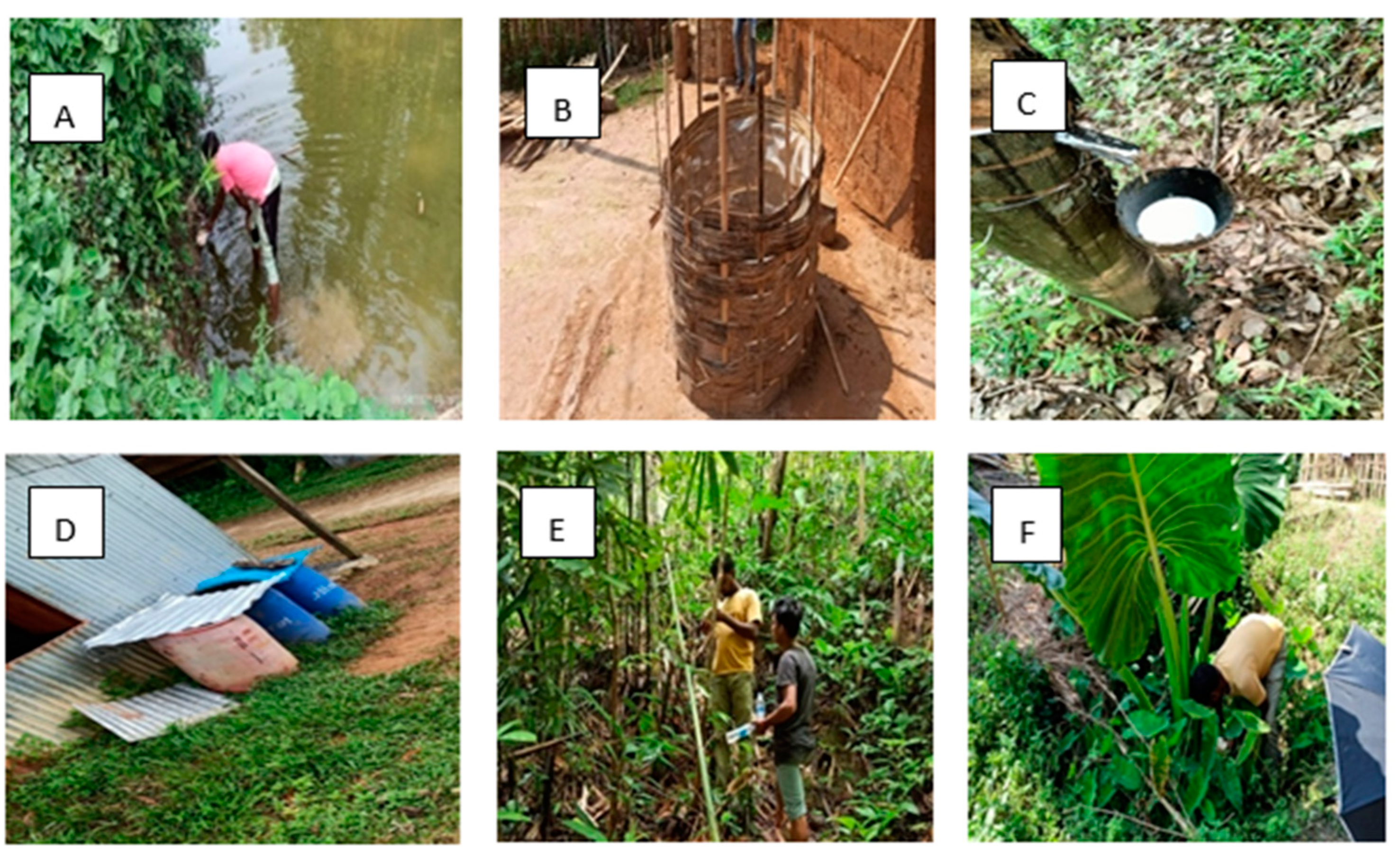 Biomedicines 11 02186 g002