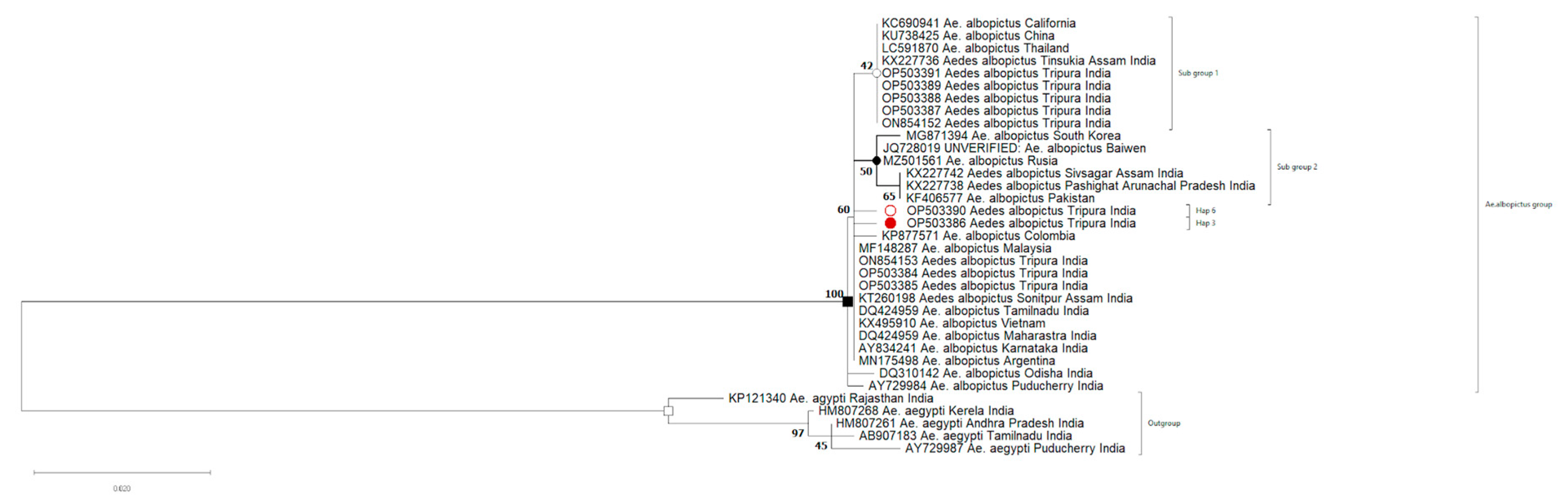 Biomedicines 11 02186 g003
