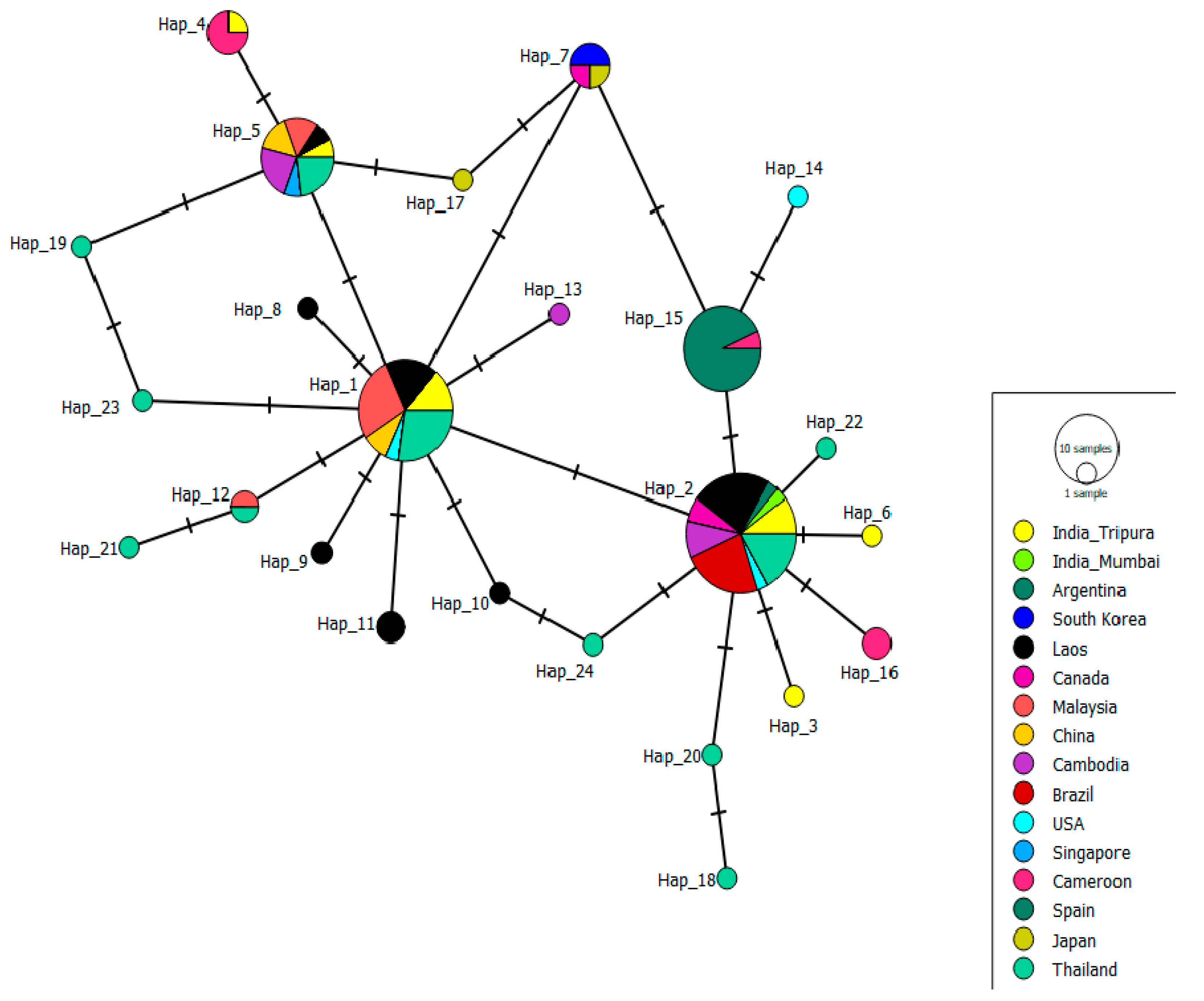 Biomedicines 11 02186 g004