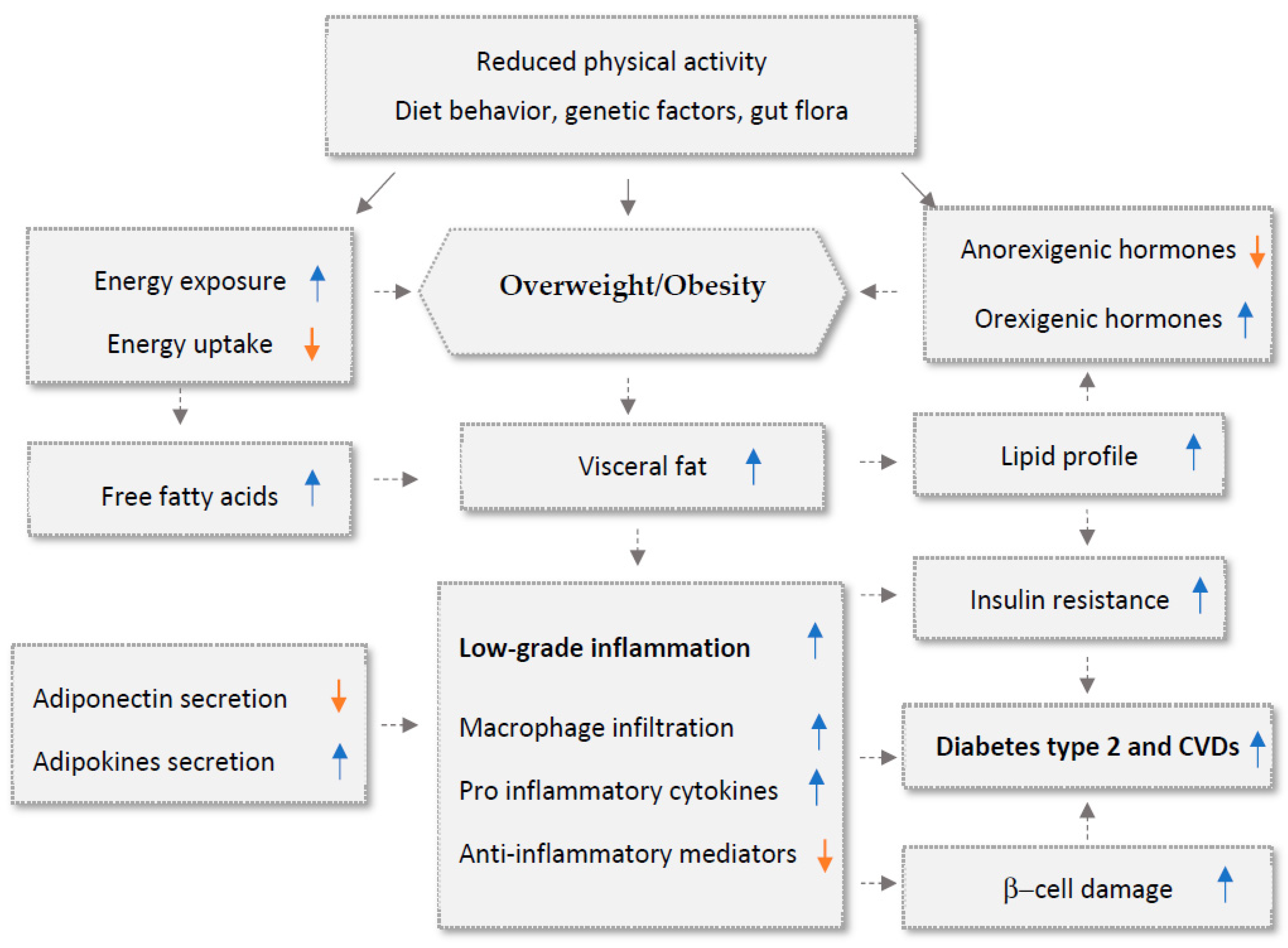 Biomedicines 11 02204 g001