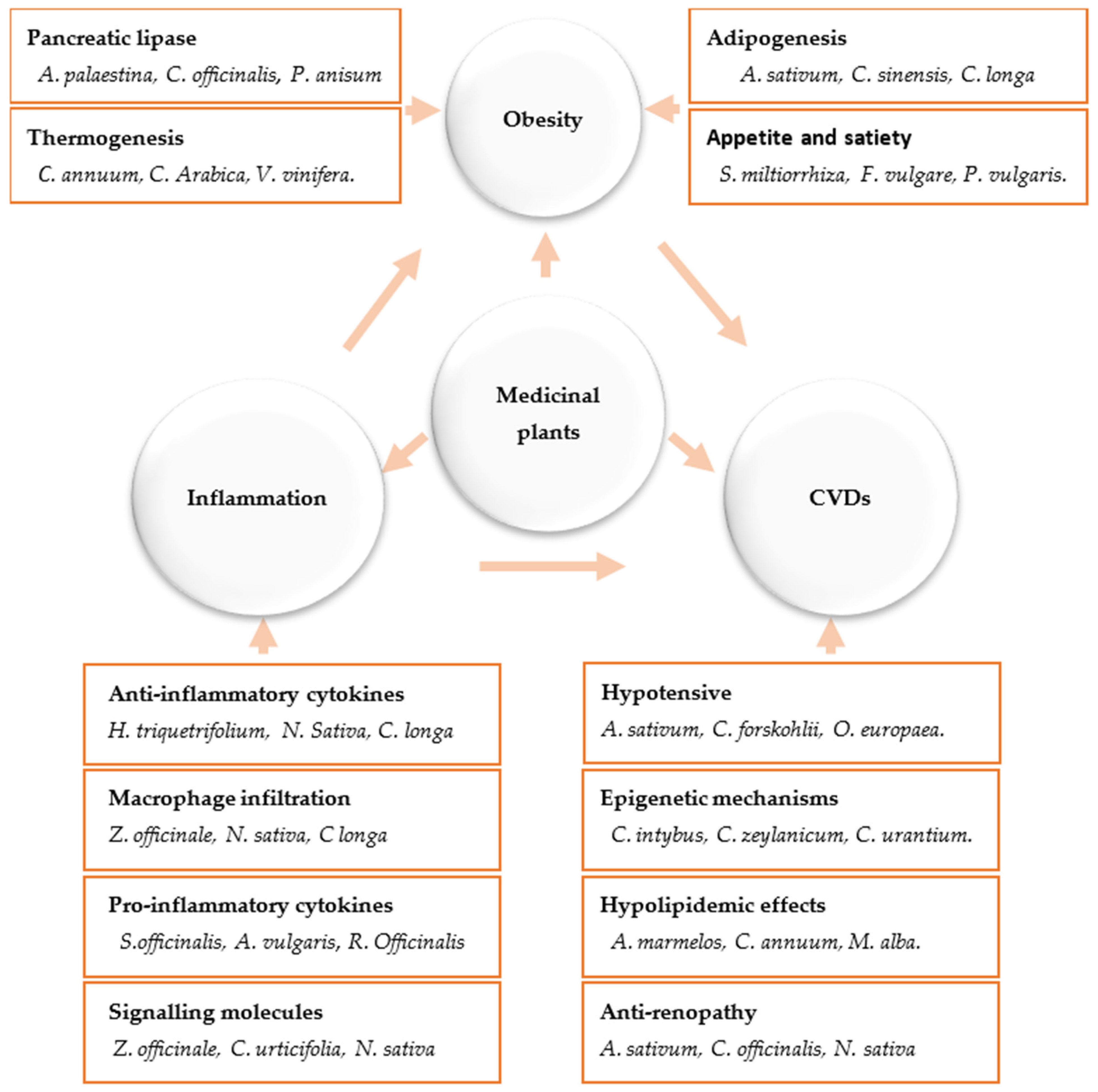 Biomedicines 11 02204 g002