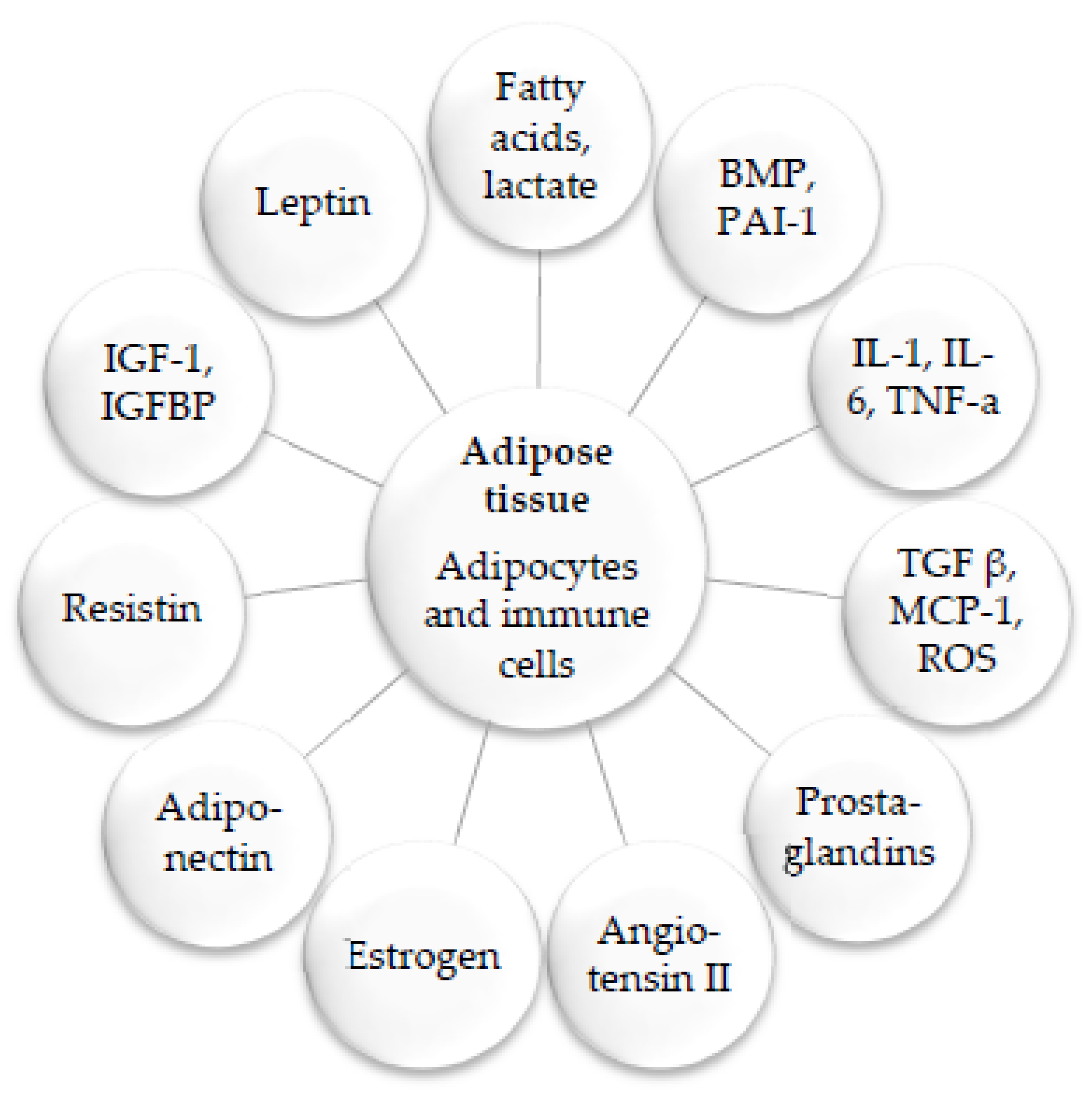 Biomedicines 11 02204 g003