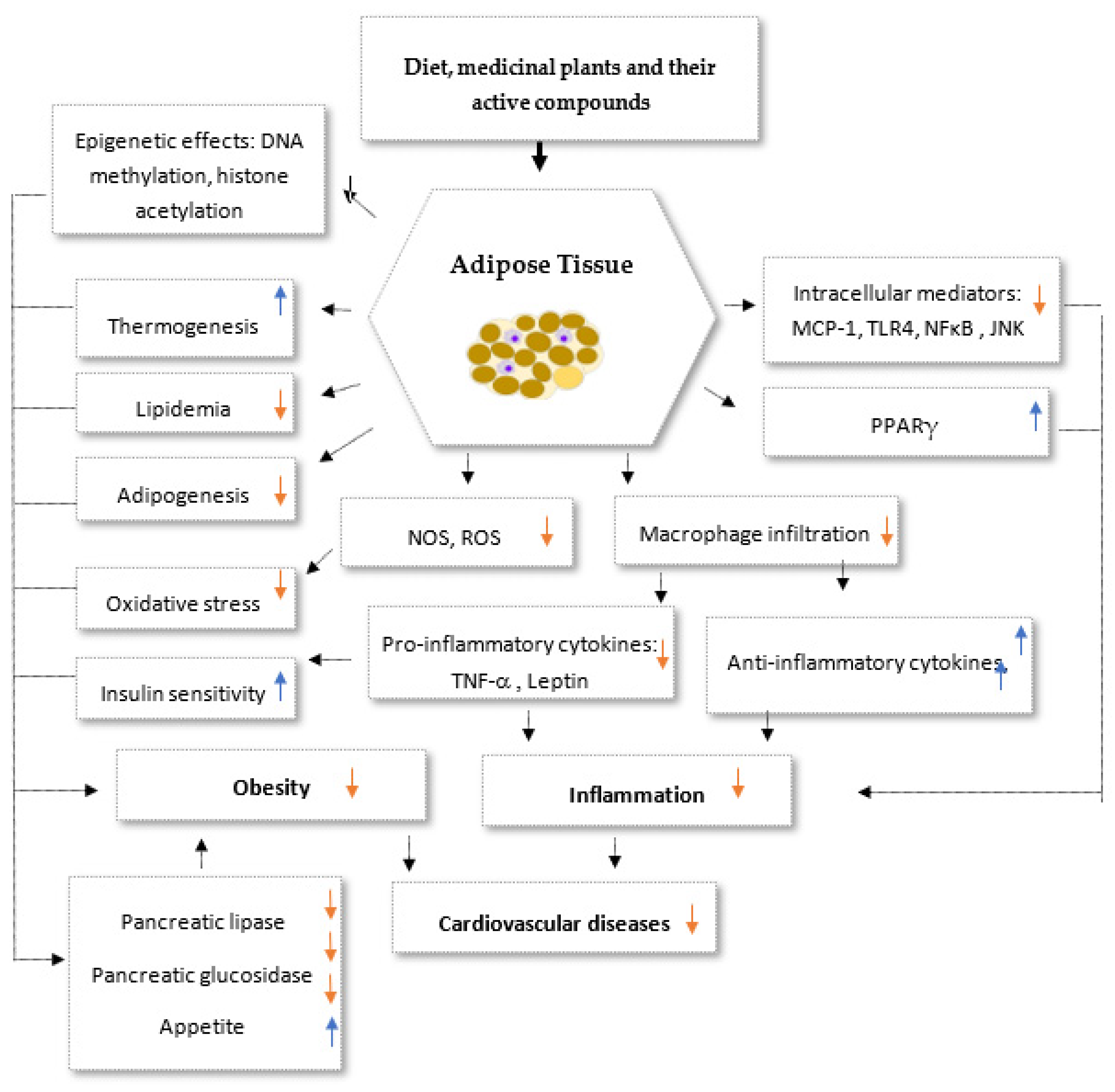 Biomedicines 11 02204 g005