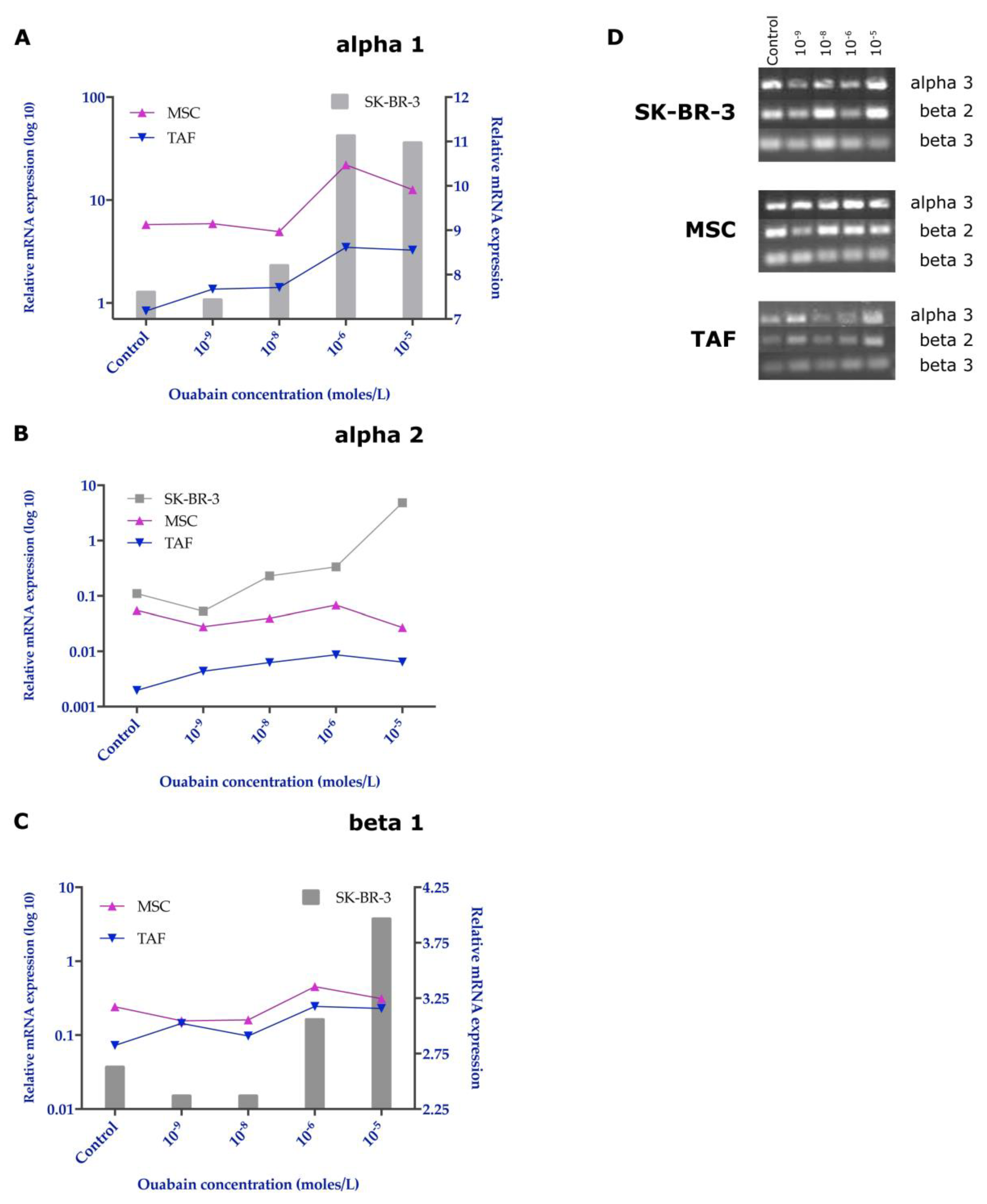 Biomedicines 11 02205 g007