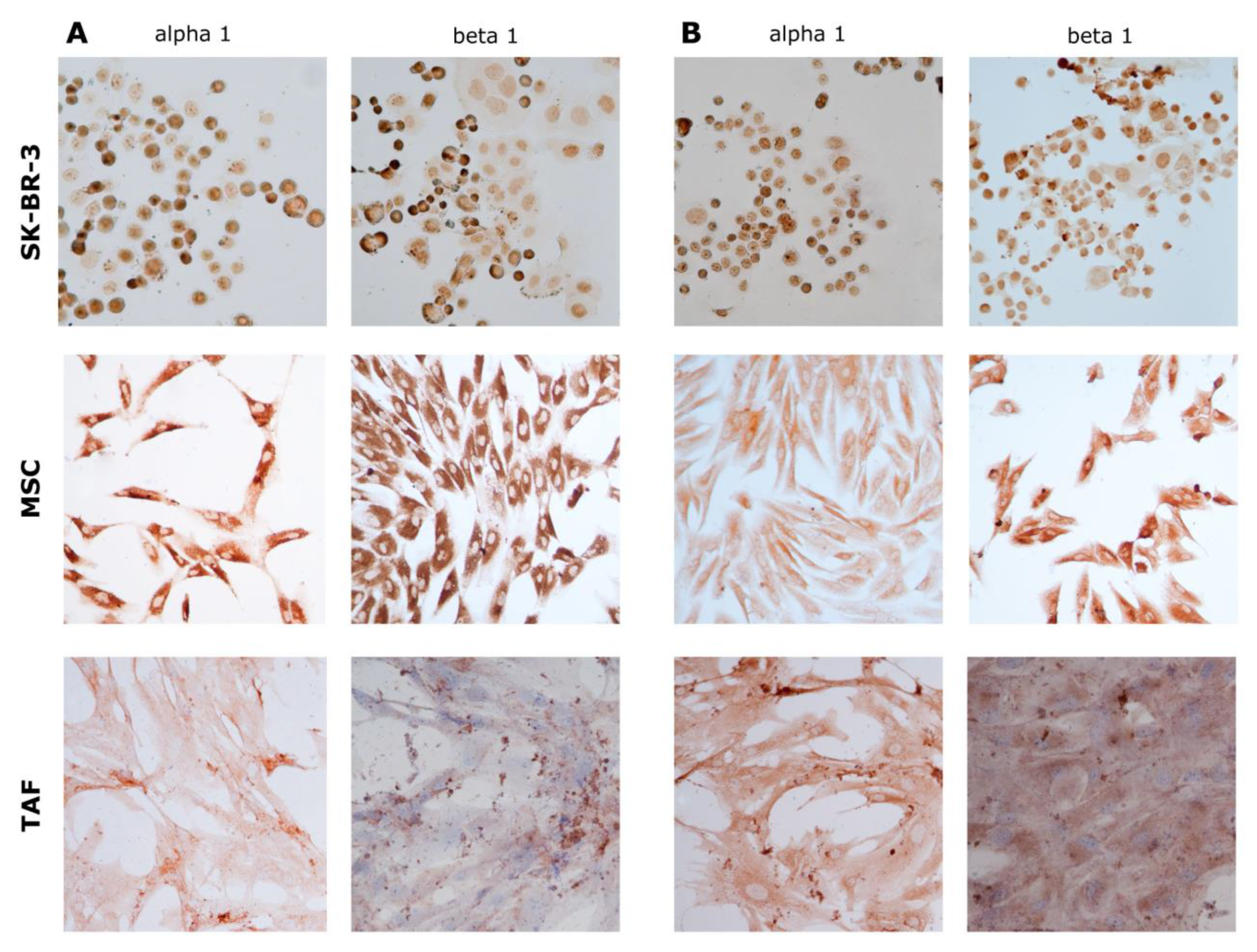 Biomedicines 11 02205 g008