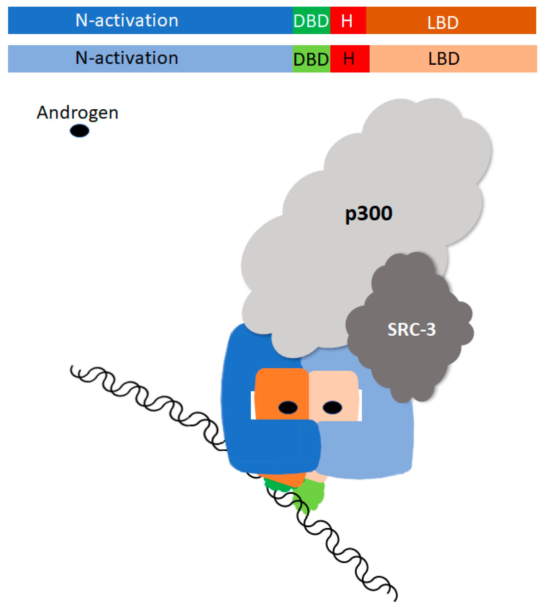 Biomedicines 11 02215 g001