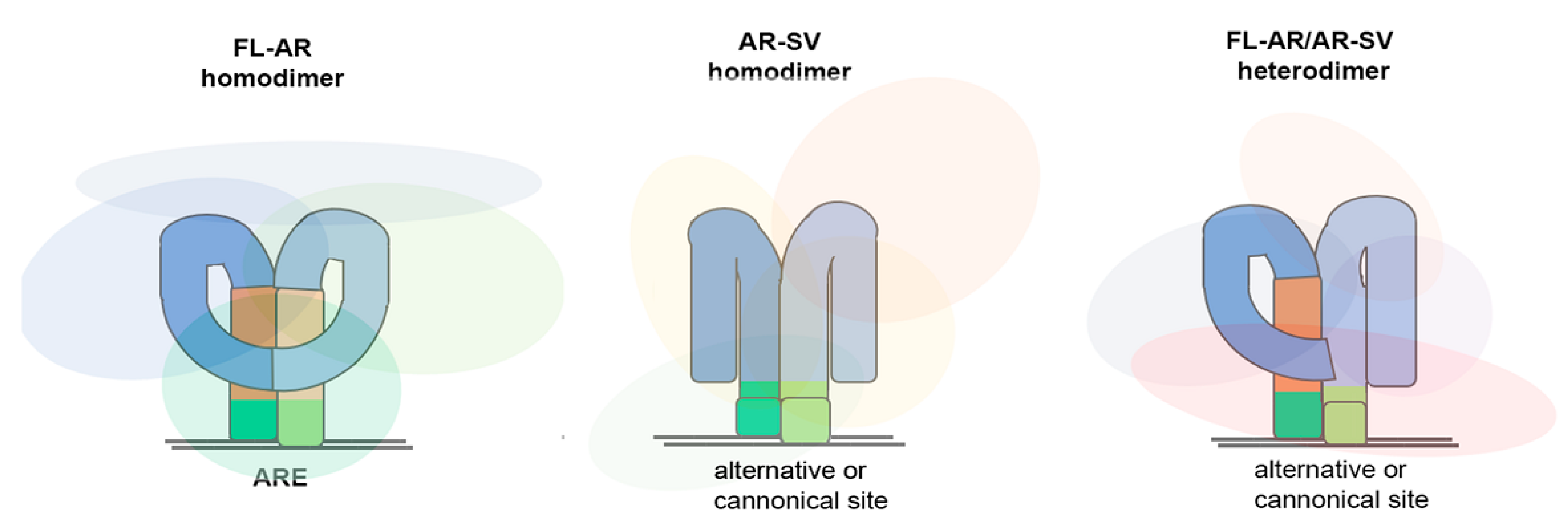 Biomedicines 11 02215 g002