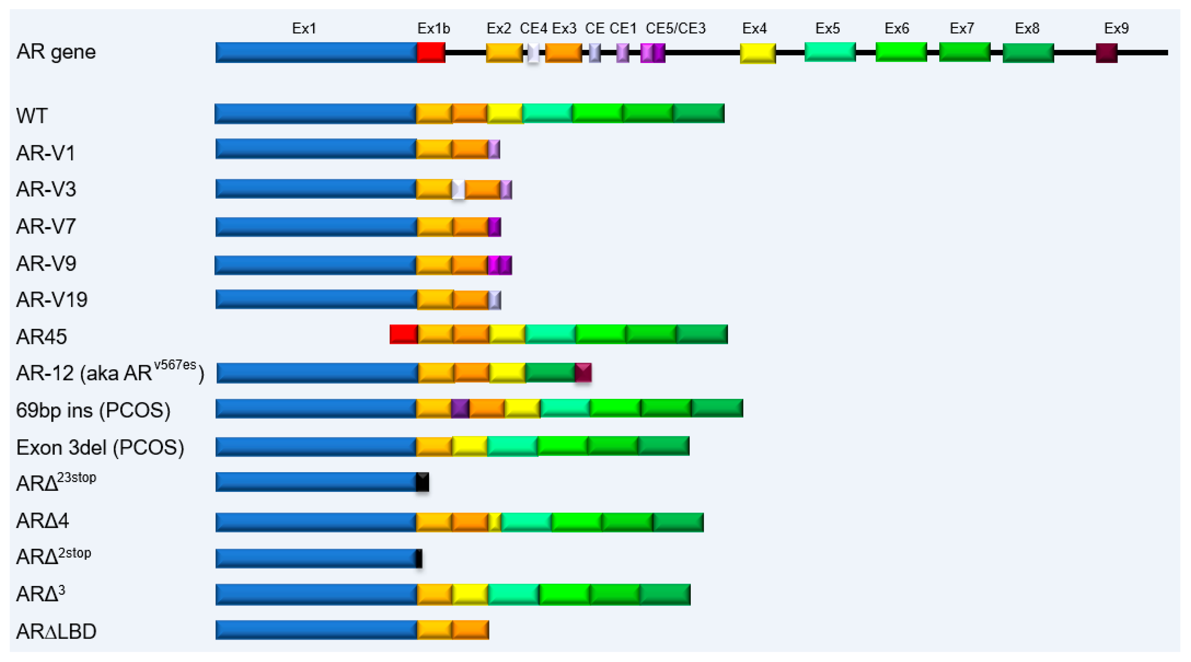 Biomedicines 11 02215 g003