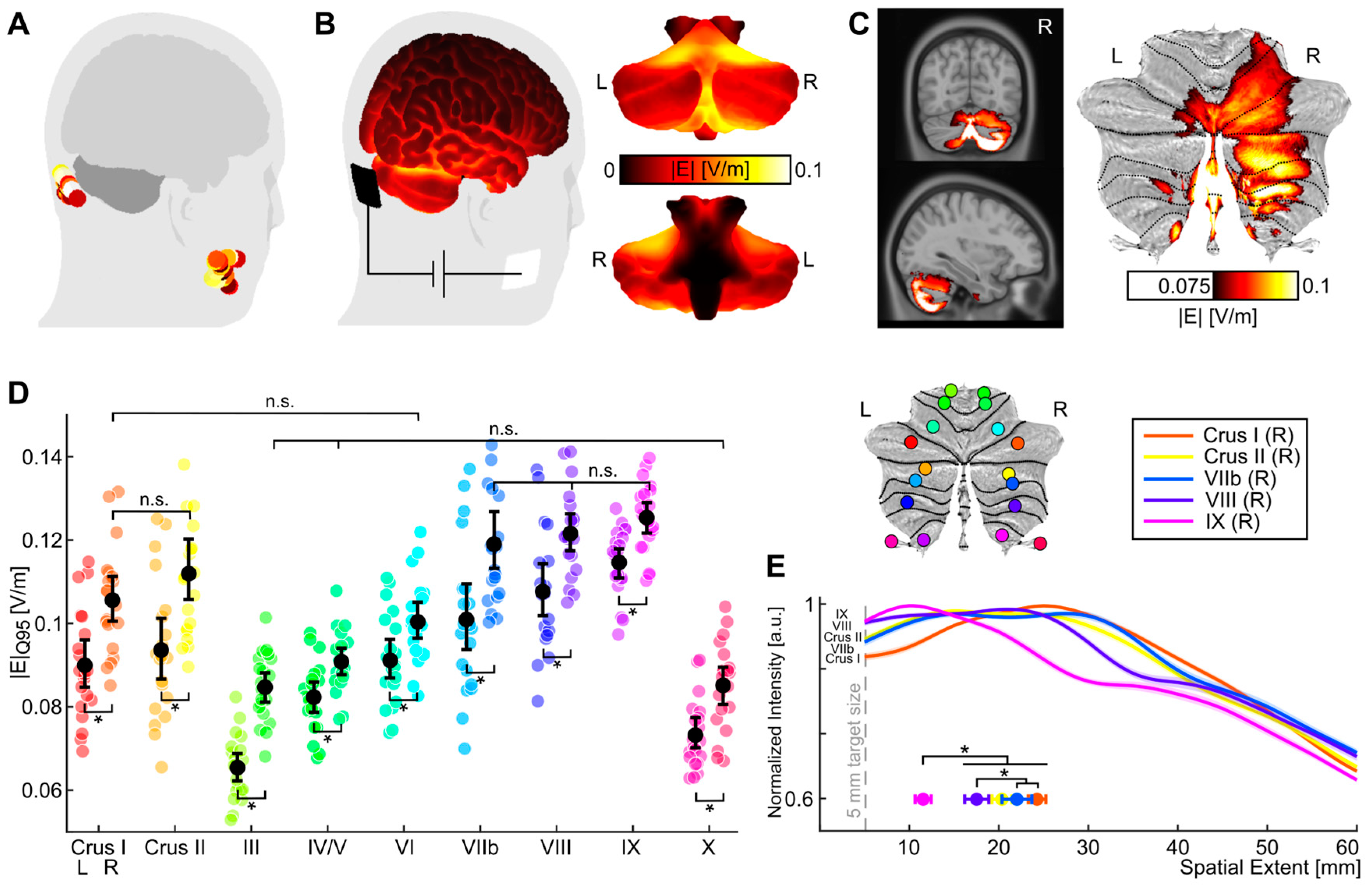 Biomedicines 11 02218 g005