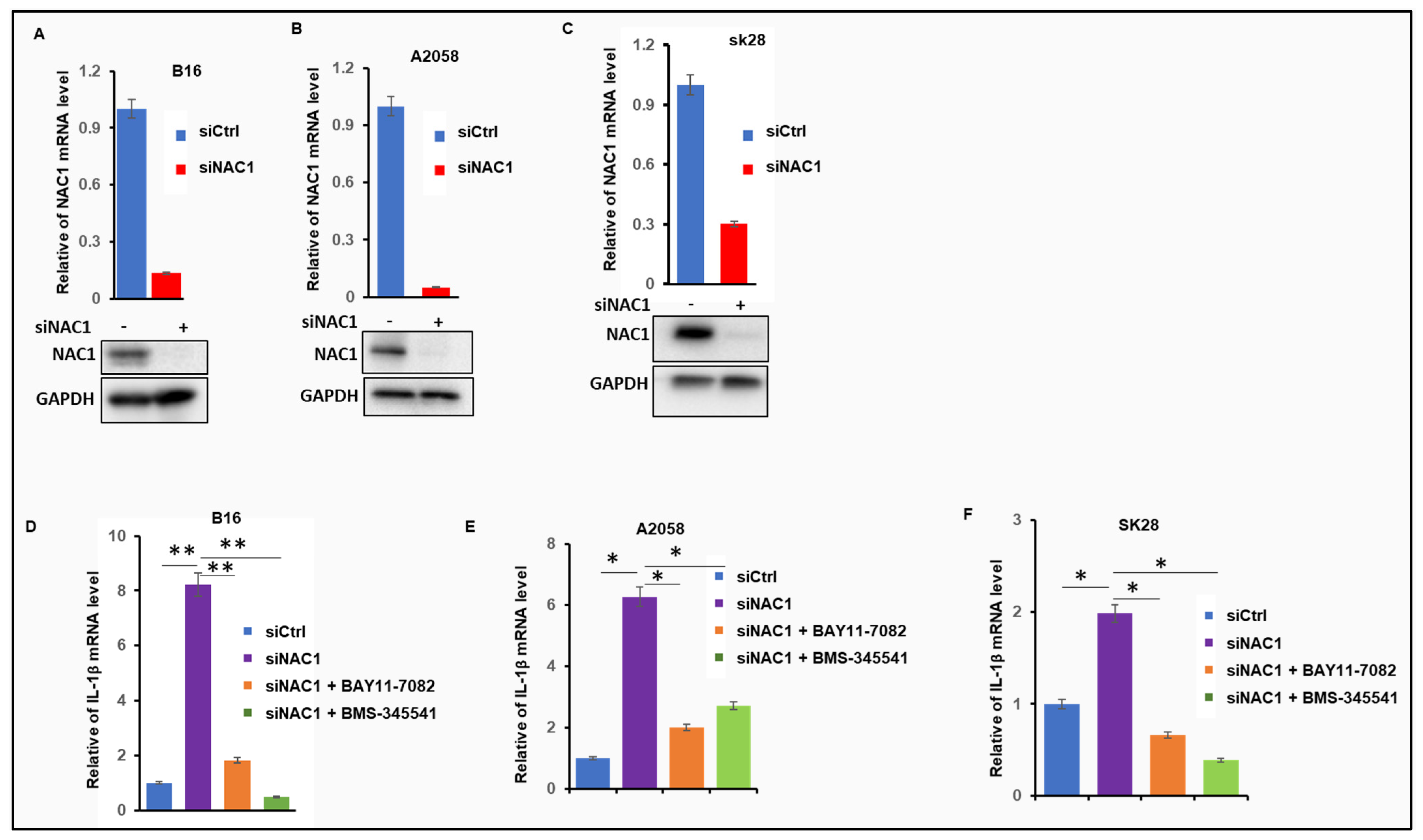 Biomedicines 11 02221 g001
