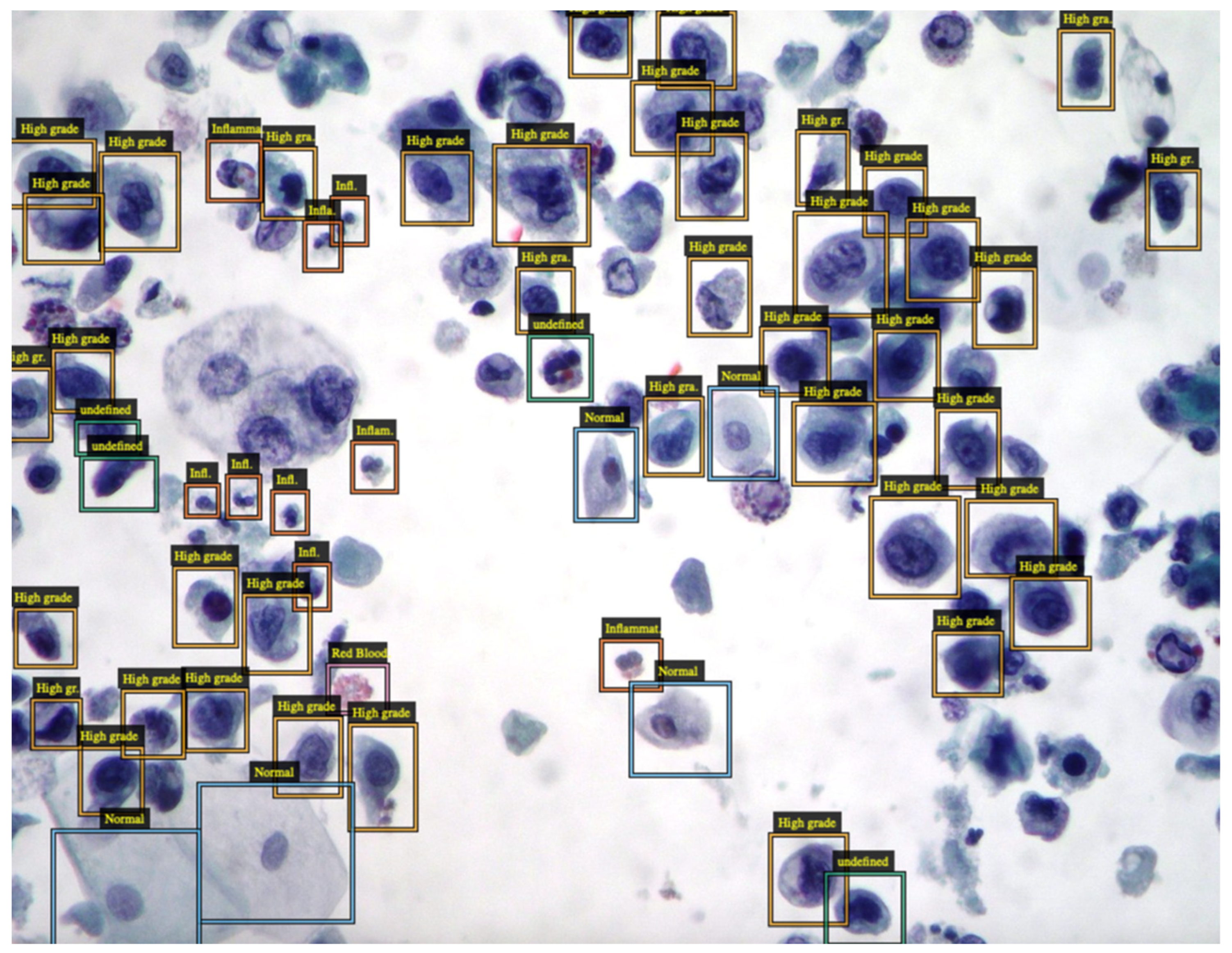 Biomedicines 11 02225 g001 Biomedicines 11 02225 g001