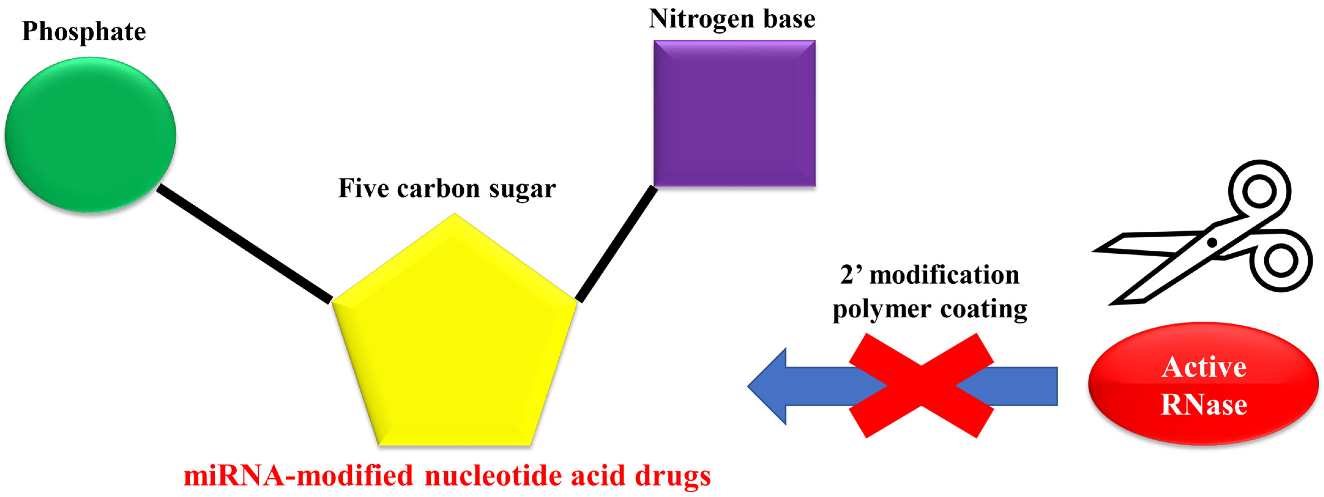Biomedicines 11 02235 g003 Biomedicines 11 02235 g003