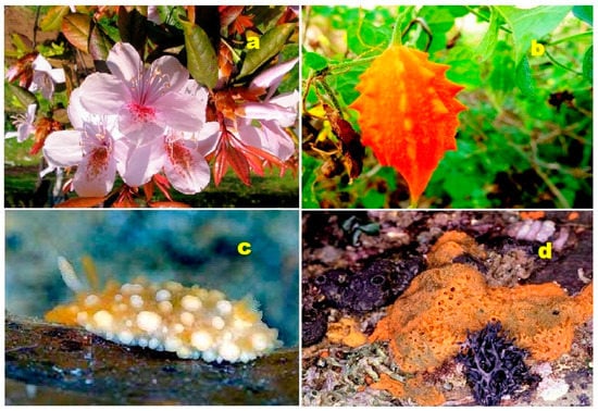 Biomedicines 11 02237 g041