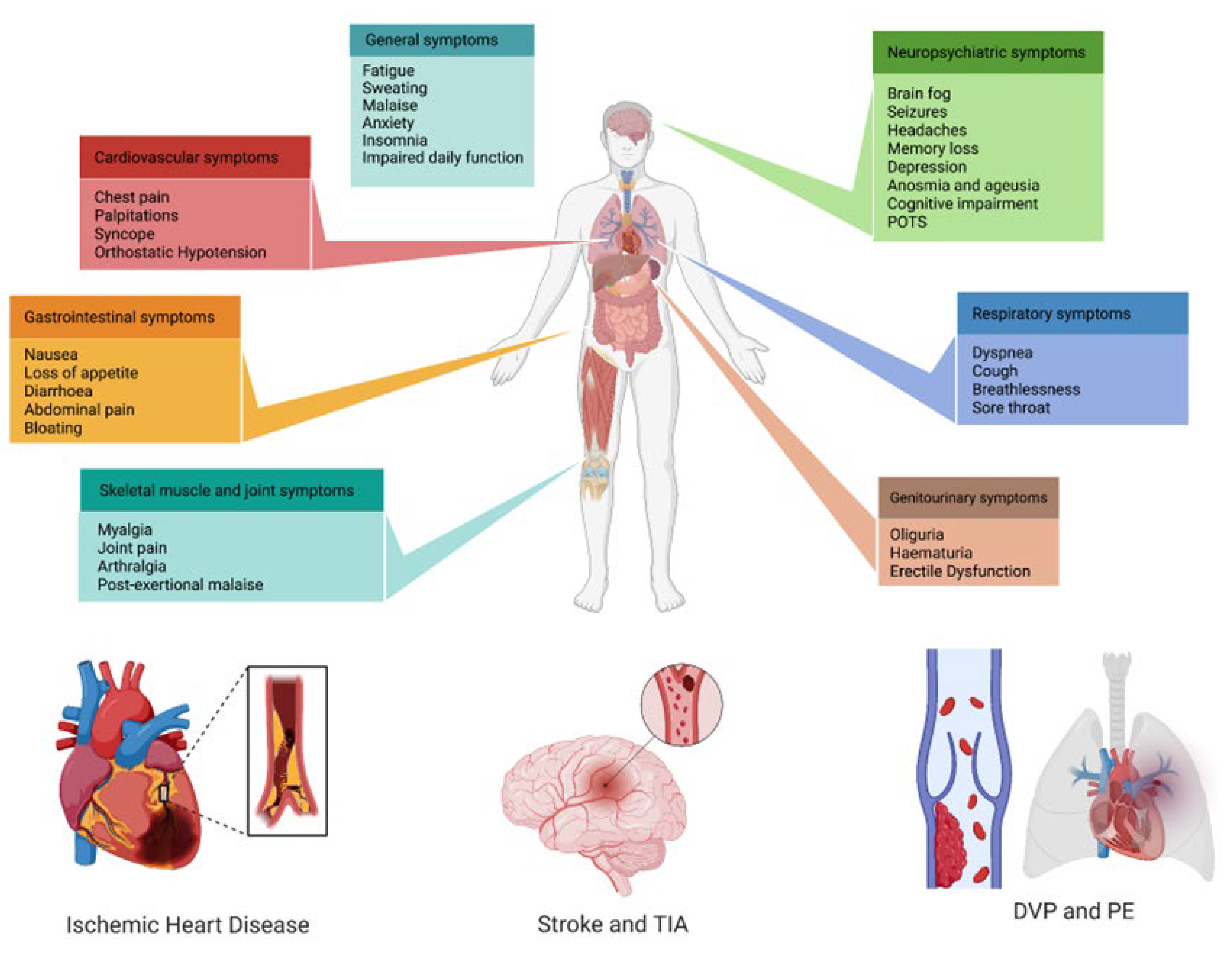 Biomedicines 11 02239 g002 Biomedicines 11 02239 g002