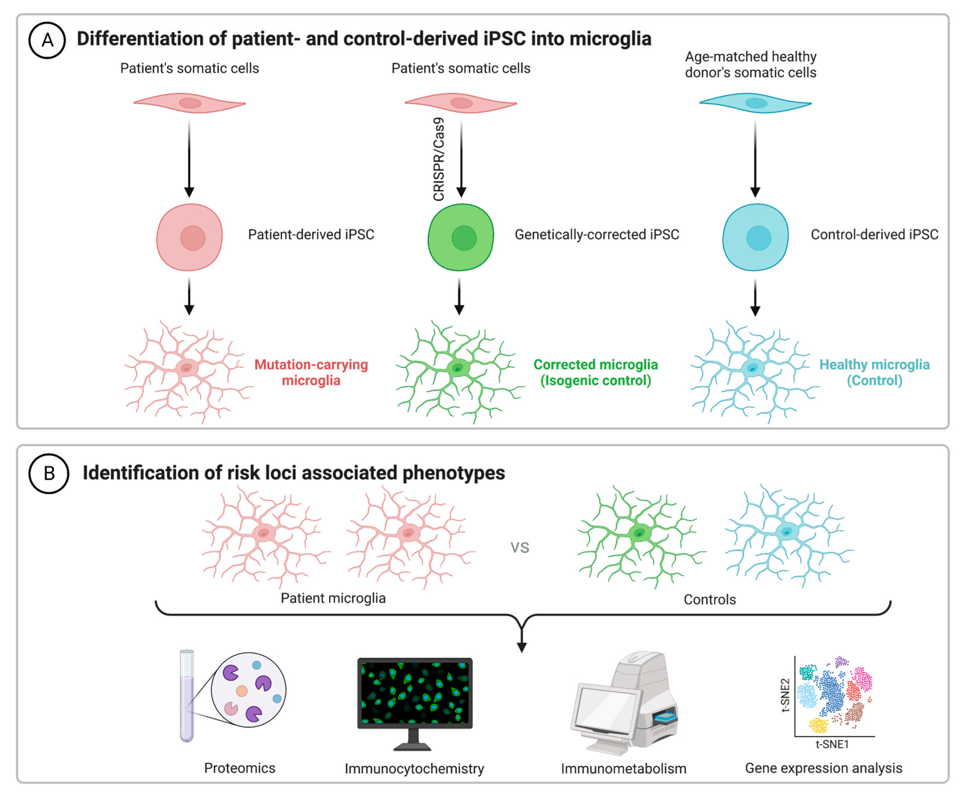 Biomedicines 11 02240 g001