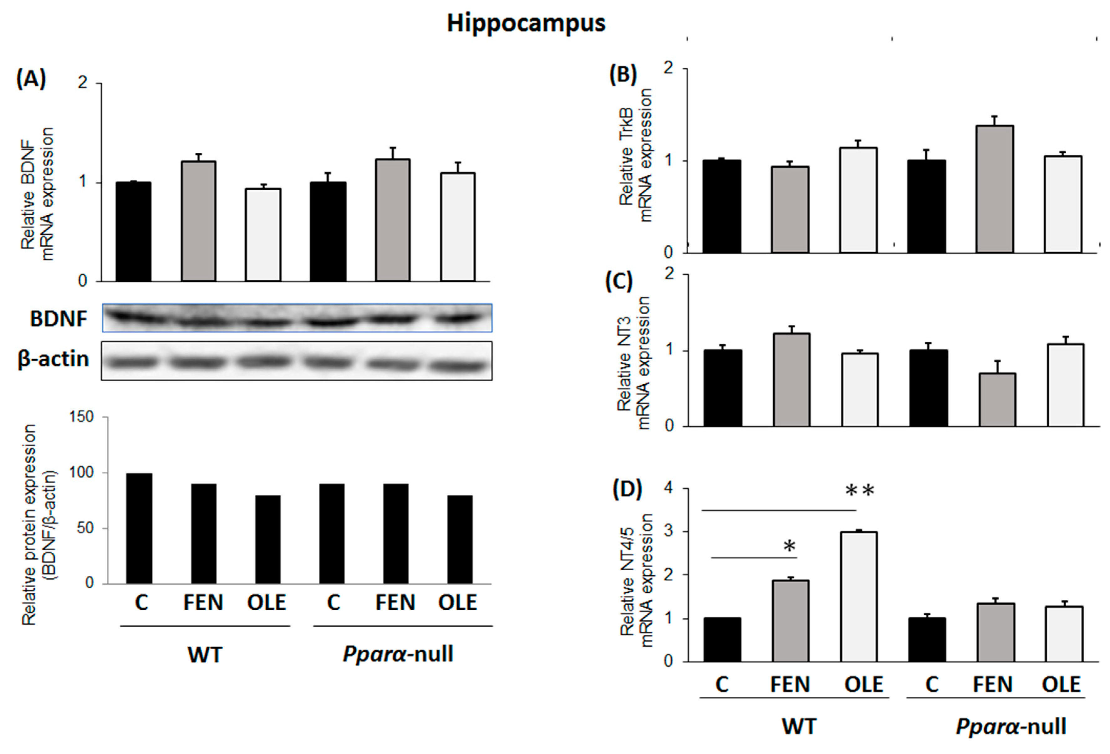 Biomedicines 11 02250 g005