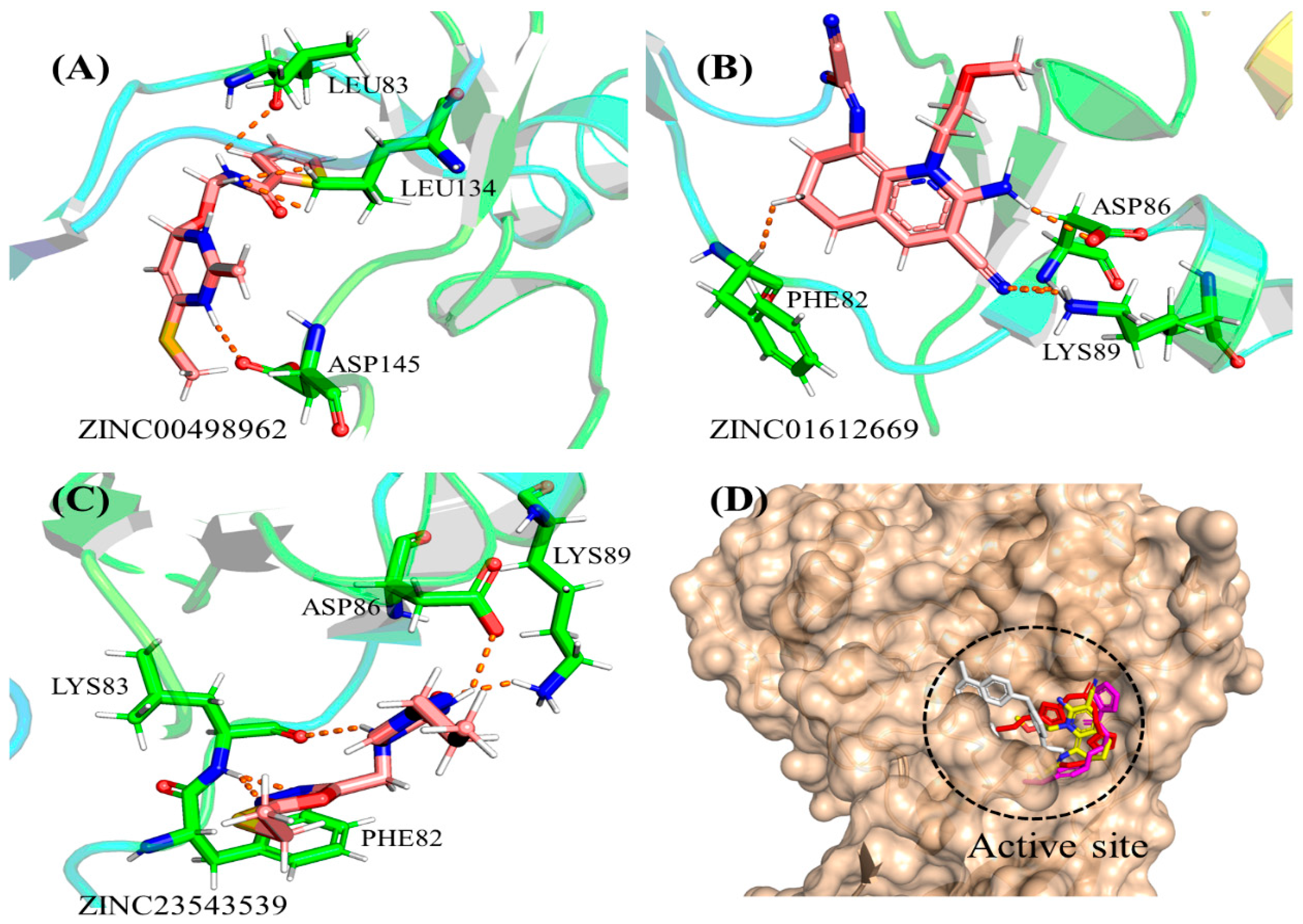 Biomedicines 11 02251 g006
