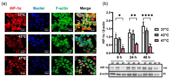 Biomedicines 11 02256 g003