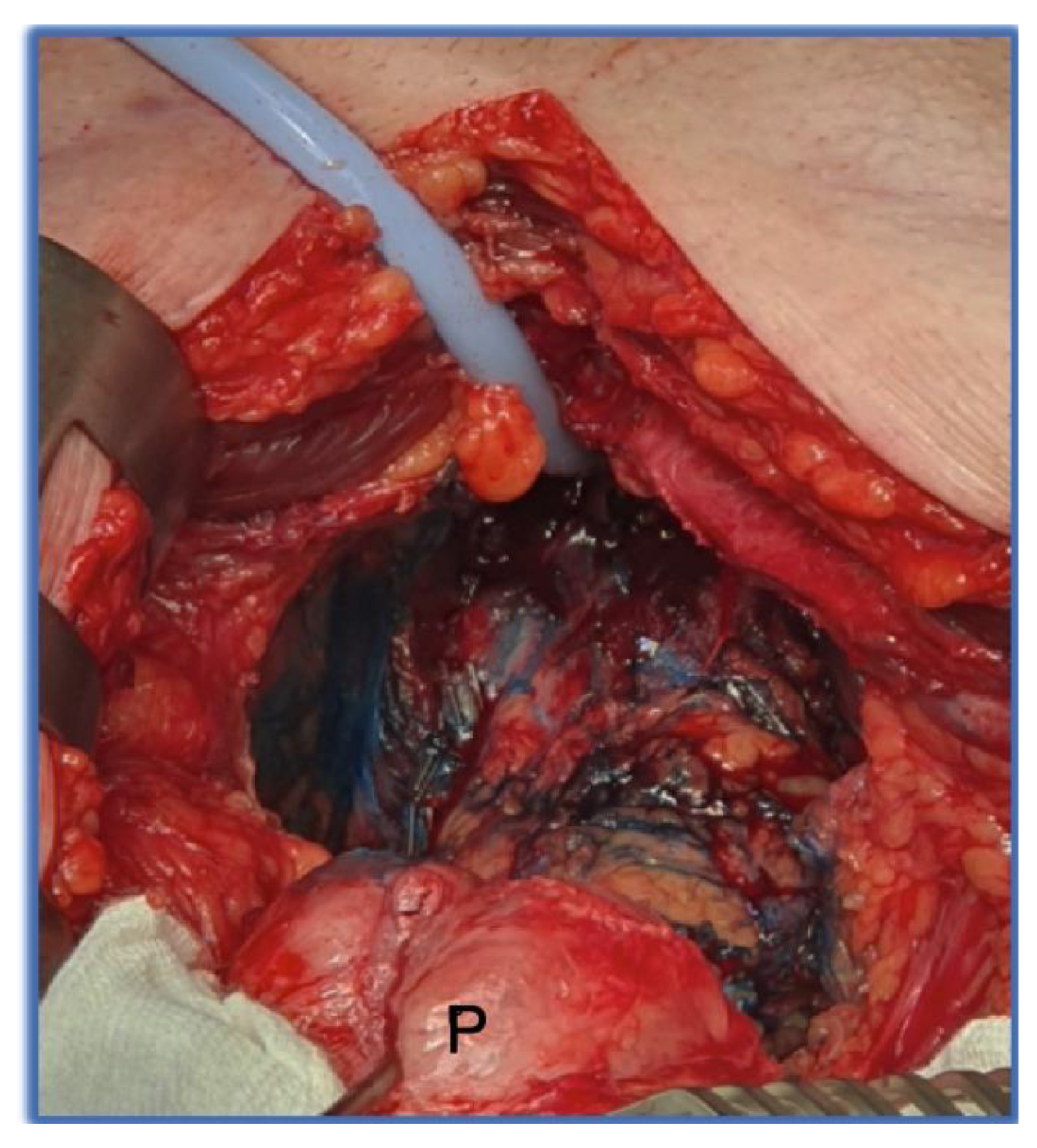 Biomedicines 11 02260 g001