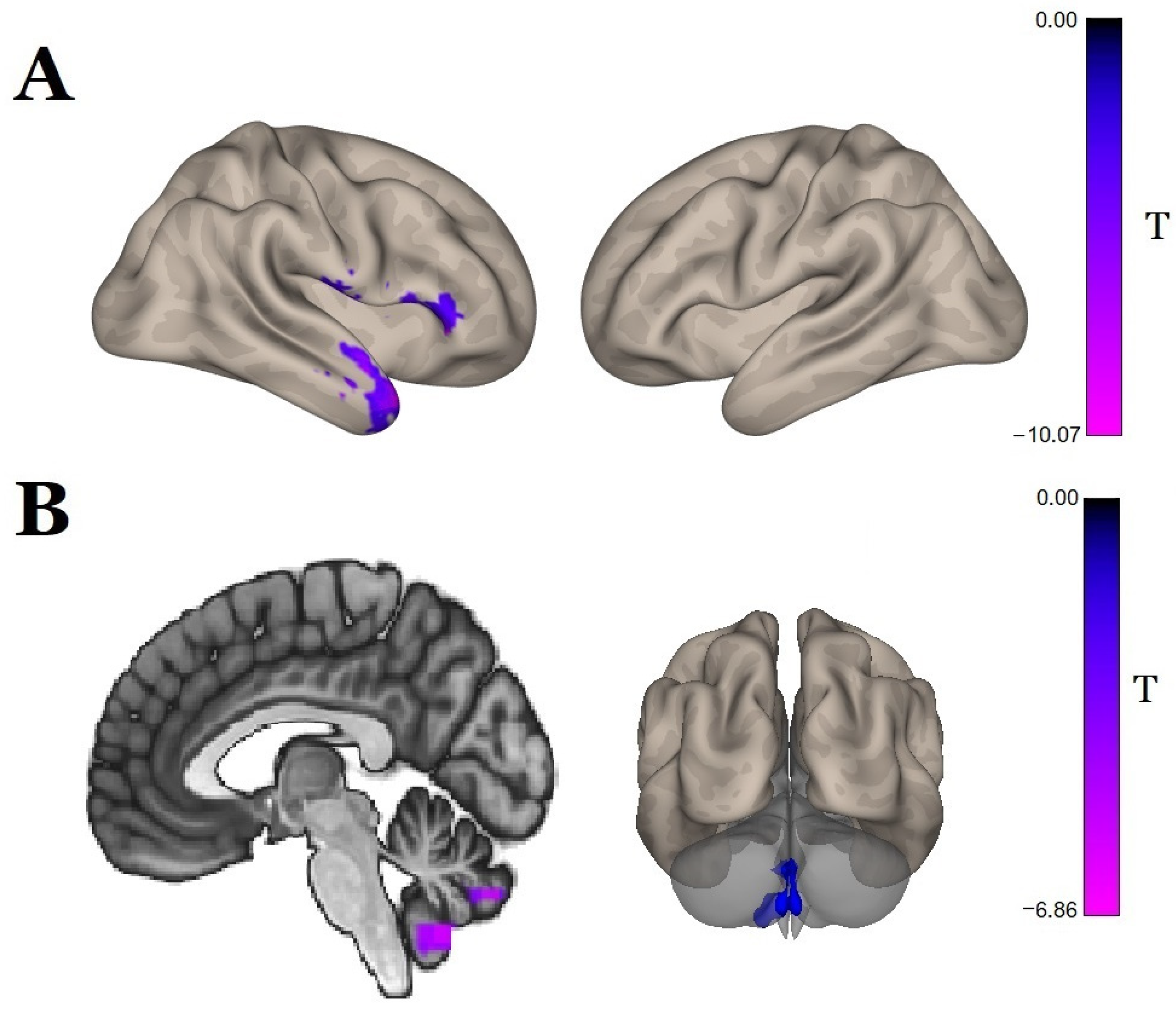 Biomedicines 11 02266 g005 Biomedicines 11 02266 g005