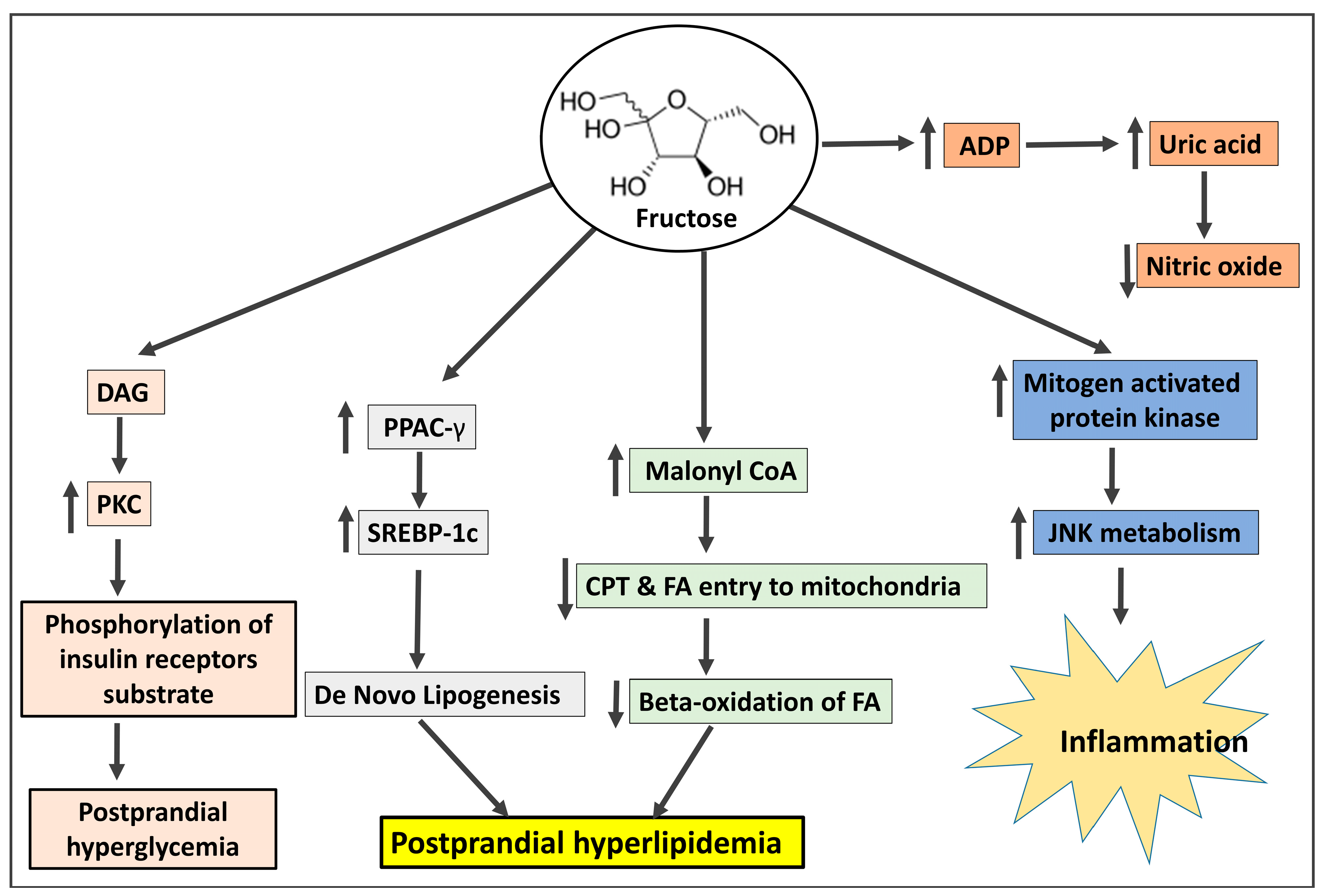 Biomedicines 11 02271 g001