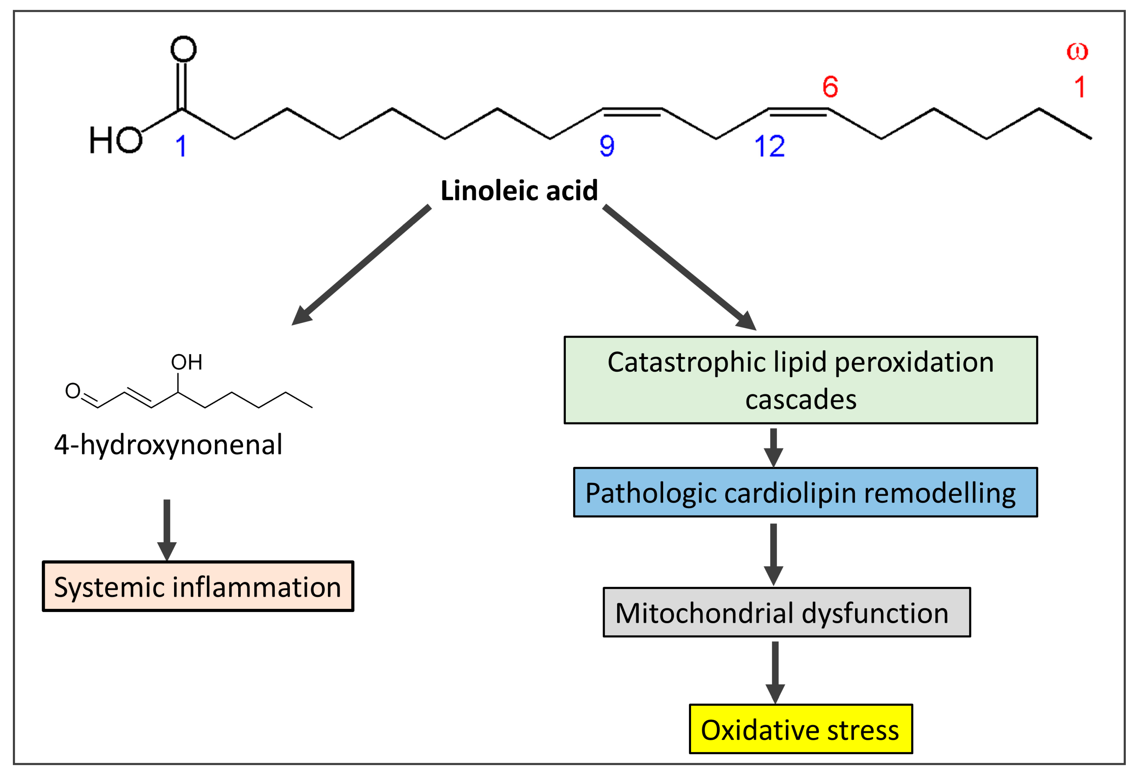 Biomedicines 11 02271 g002