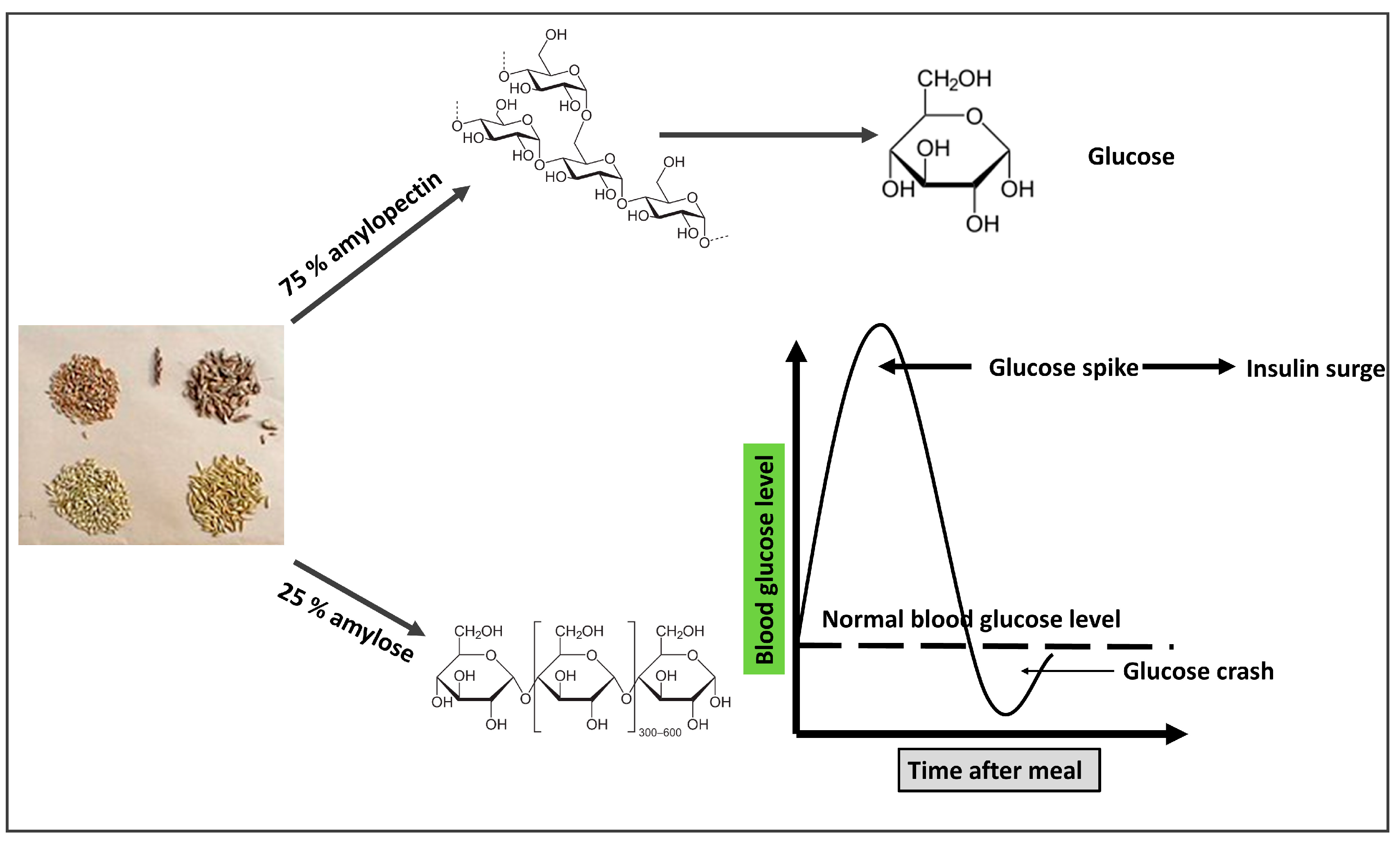 Biomedicines 11 02271 g003