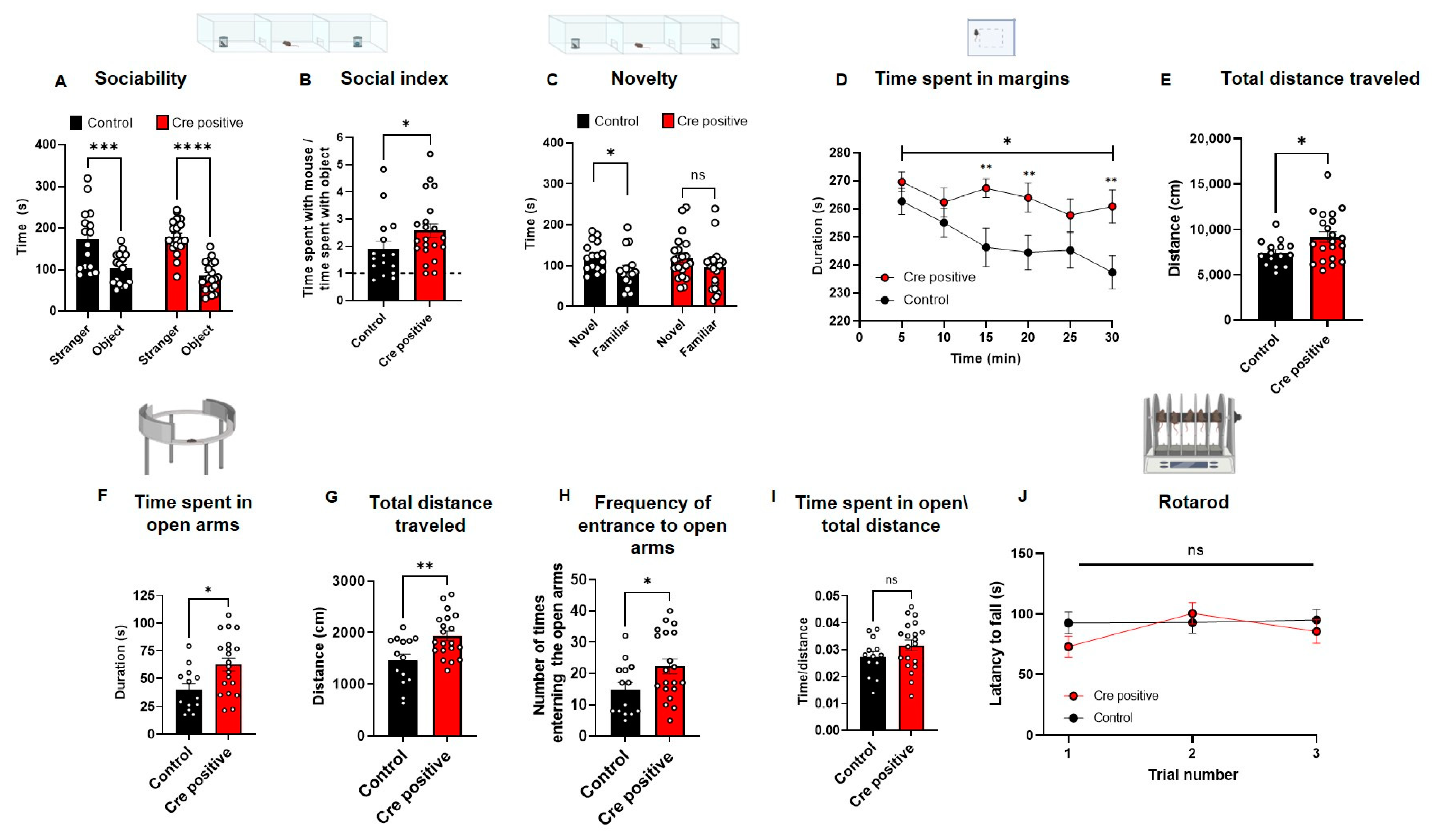 Biomedicines 11 02273 g005 Biomedicines 11 02273 g005