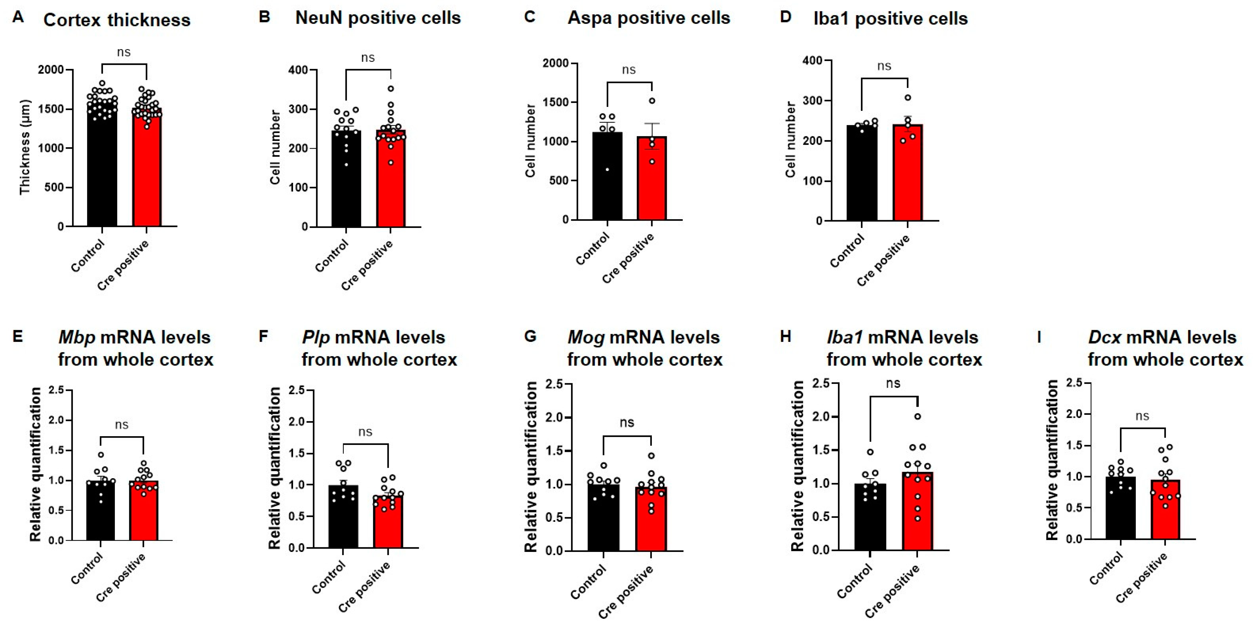 Biomedicines 11 02273 g006 Biomedicines 11 02273 g006