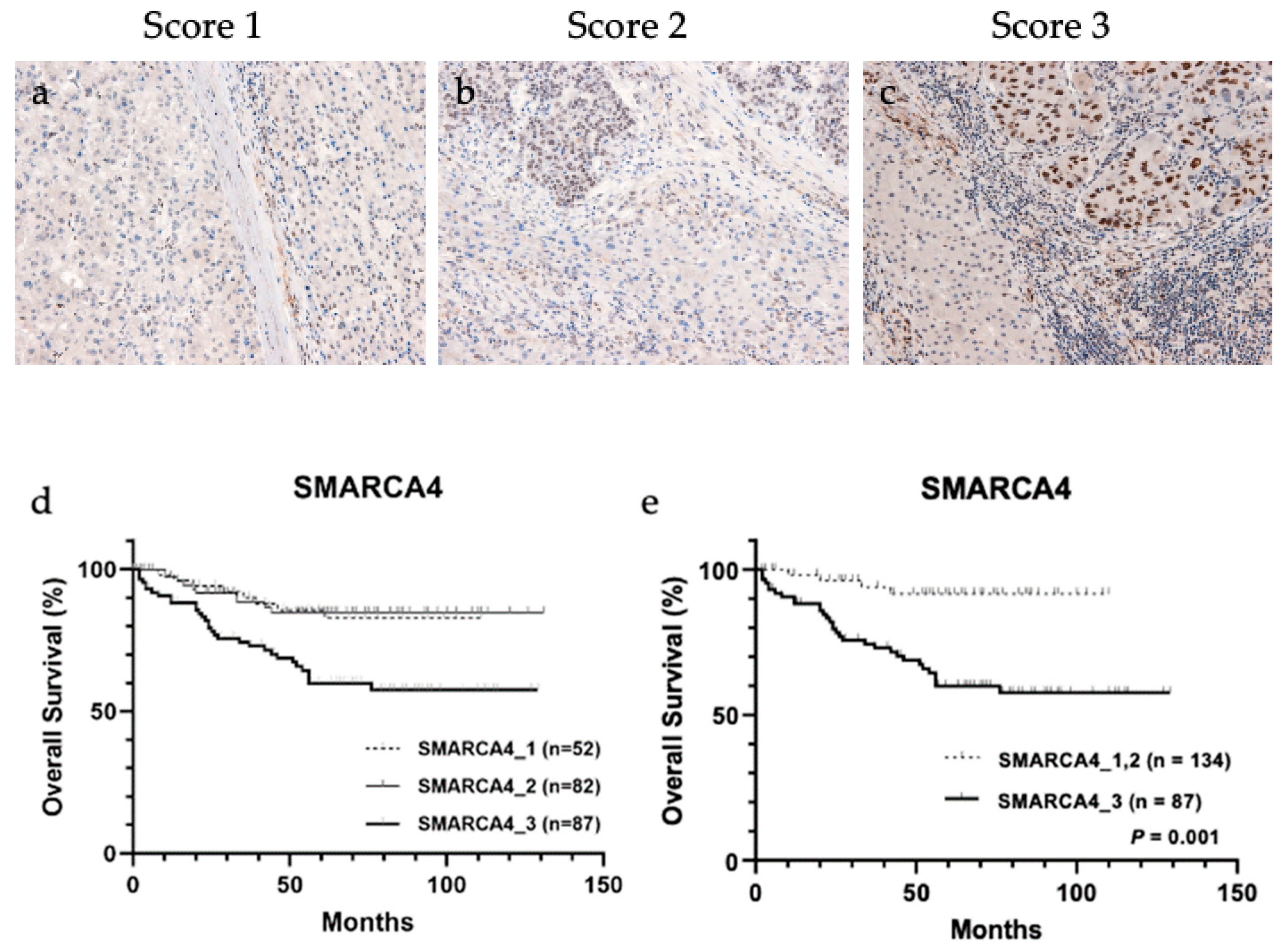 Biomedicines 11 02278 g004