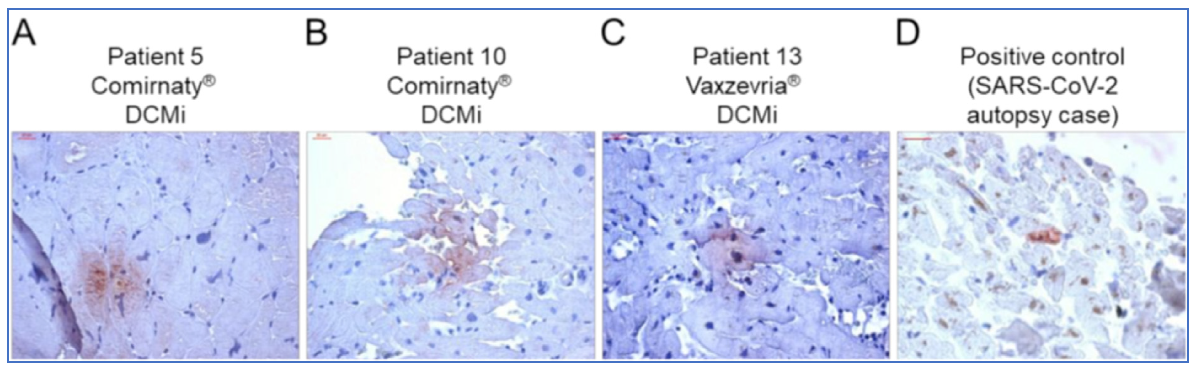 Biomedicines 11 02287 g007