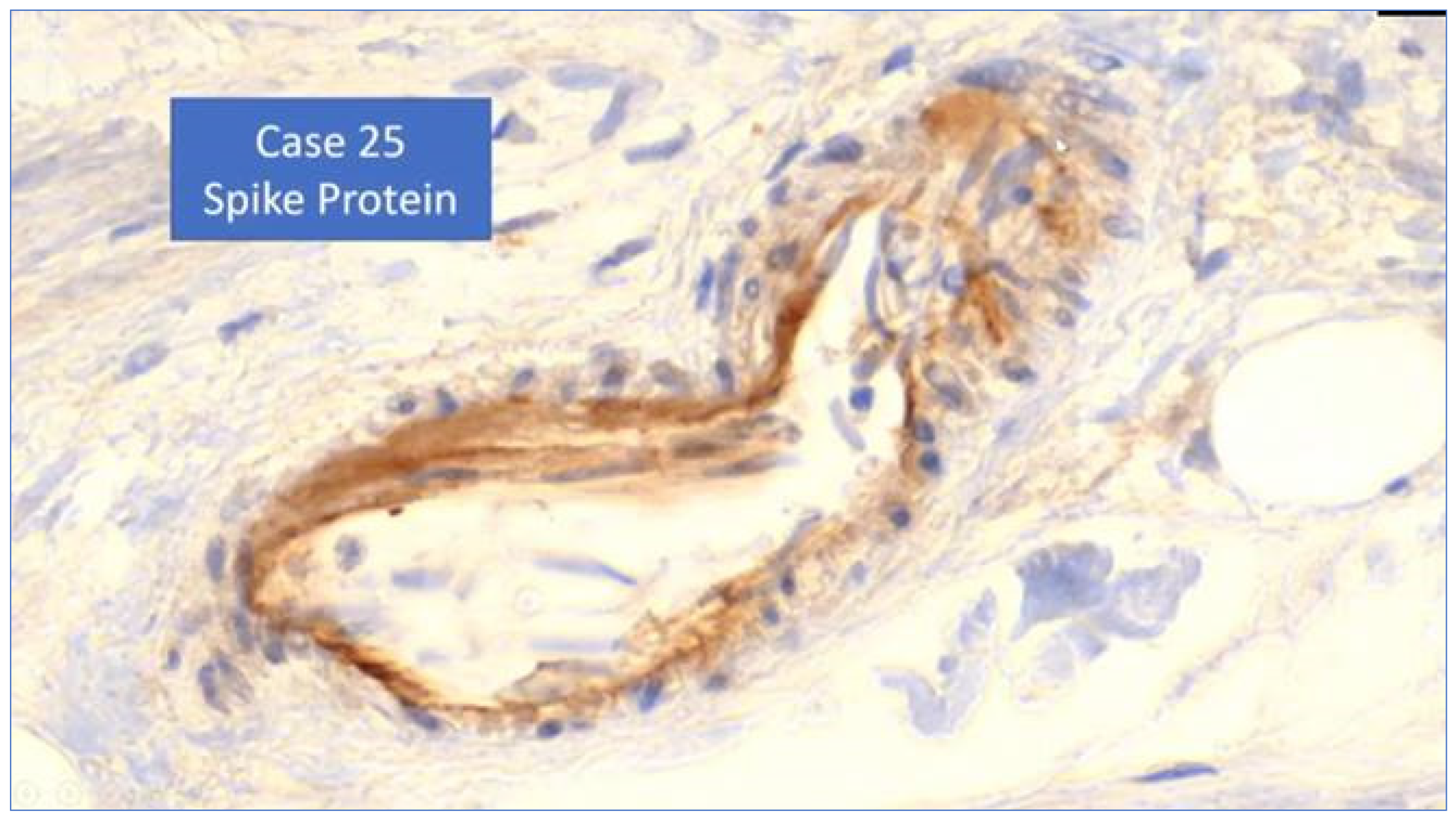 Biomedicines 11 02287 g009